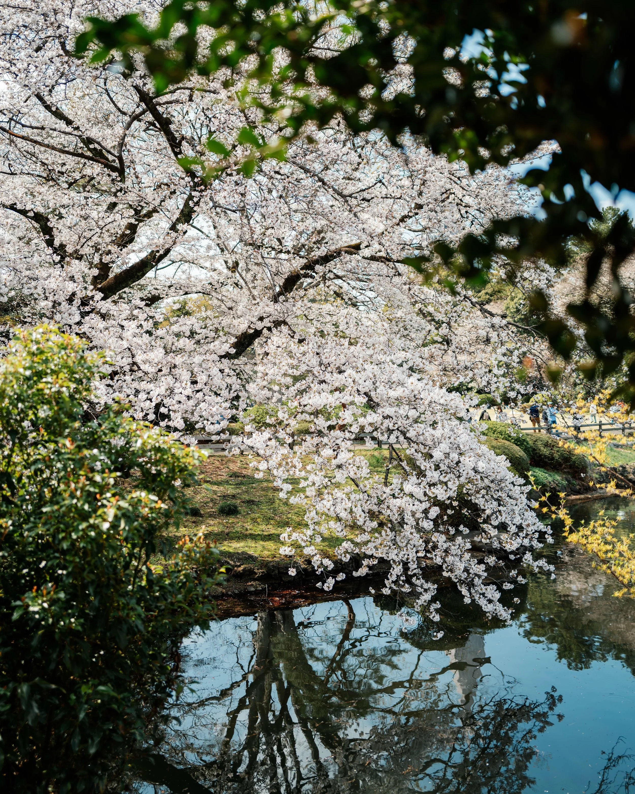 Tokyo reveals itself quietly&mdash;if you know where to look.
Beyond the pace and the scale, there&rsquo;s a side shaped by light, texture, and restraint.
It&rsquo;s in the details, not the spectacle.

The world of Maison Grin.