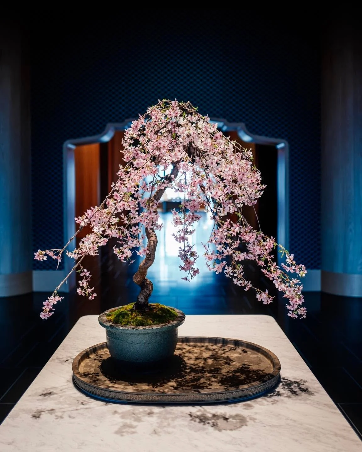 Tokyo holds its contrast carefully.
Tradition and modernity don&rsquo;t compete here&mdash;they coexist, shaped with the same precision.

A glimpse into the world of Maison Grin.