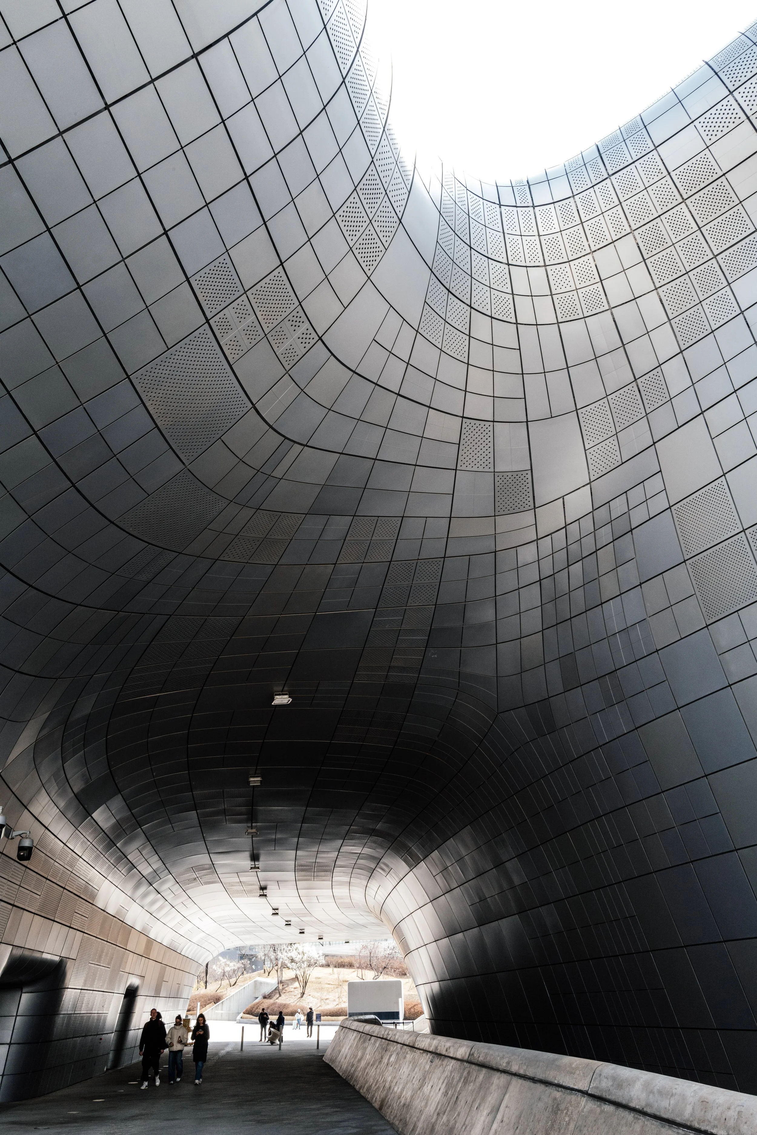 L1081523.jpg