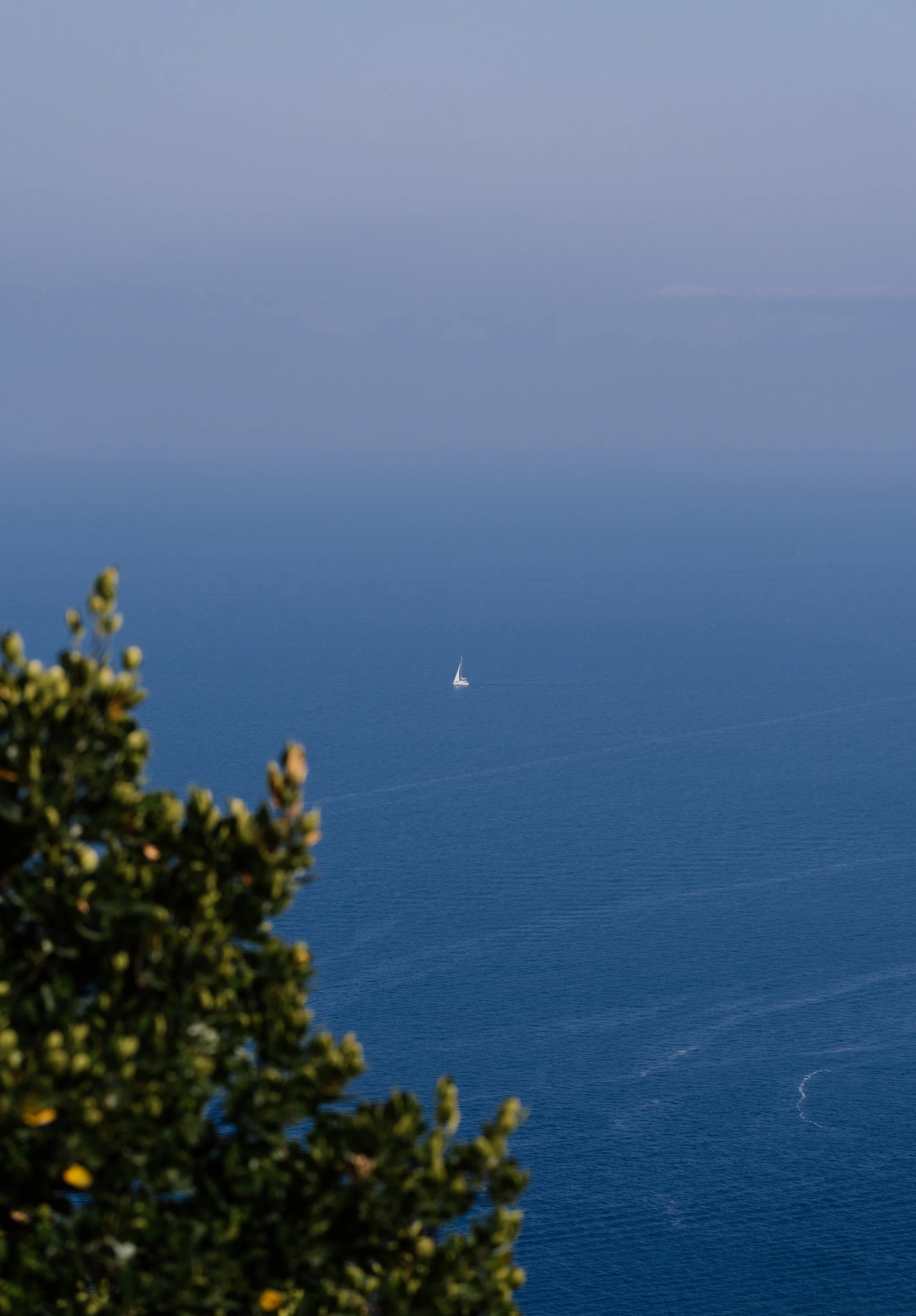 _DSC0916.jpg