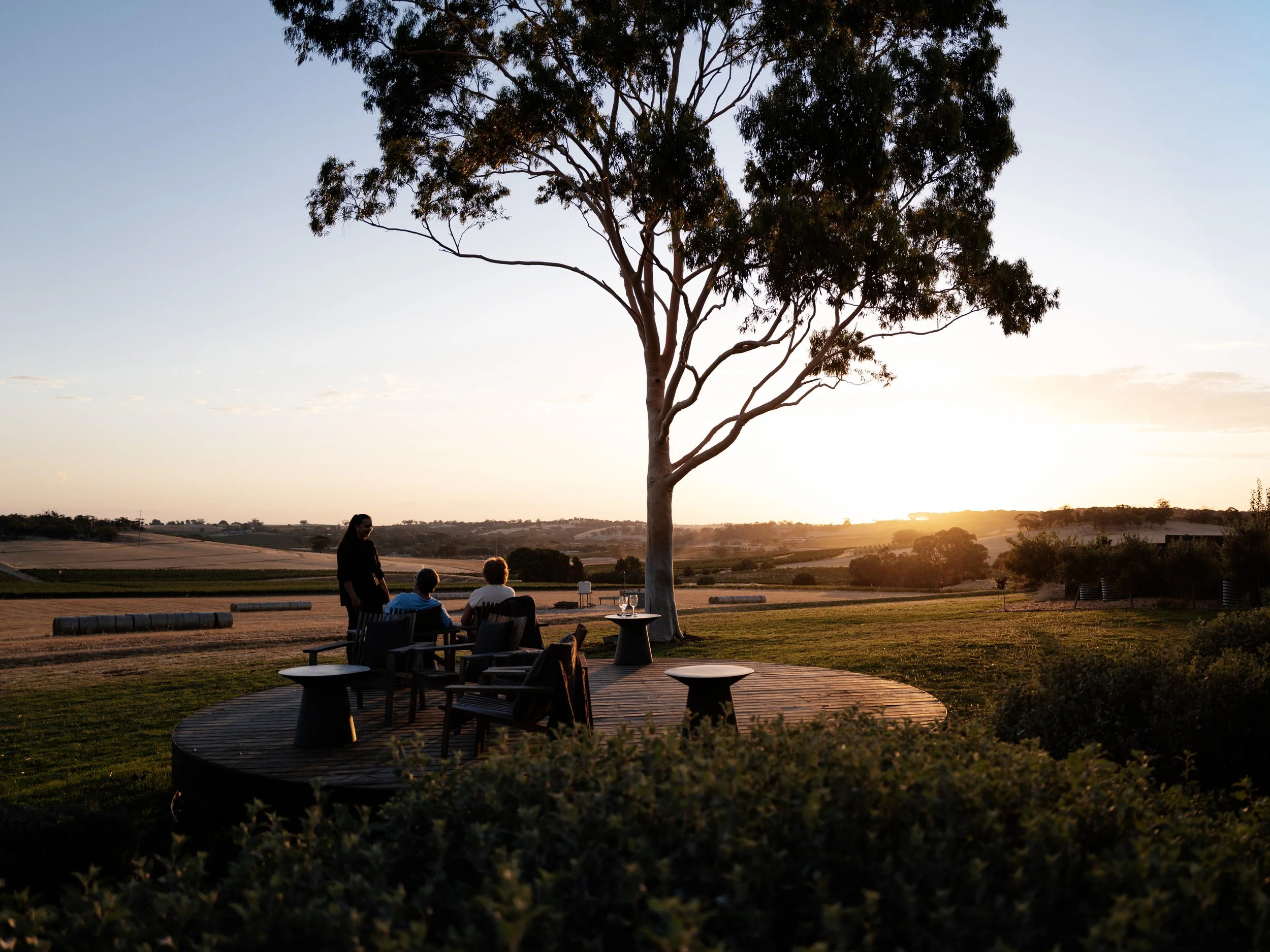 The Connoisseur’s Long Weekend: 4 Days of Fine Wine & Dining in South Australia