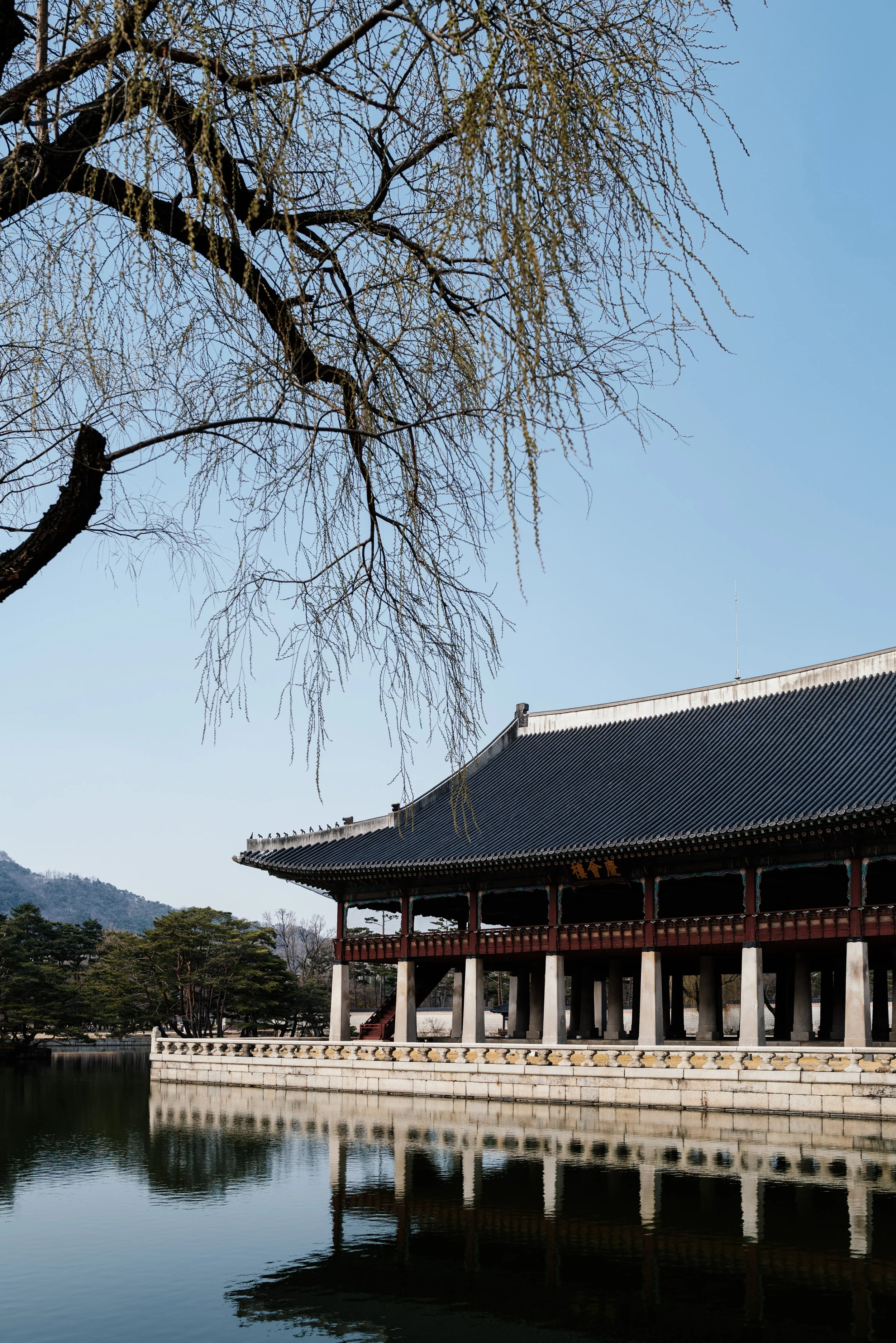 Deep-rooted heritage balanced by futuristic tomorrow.