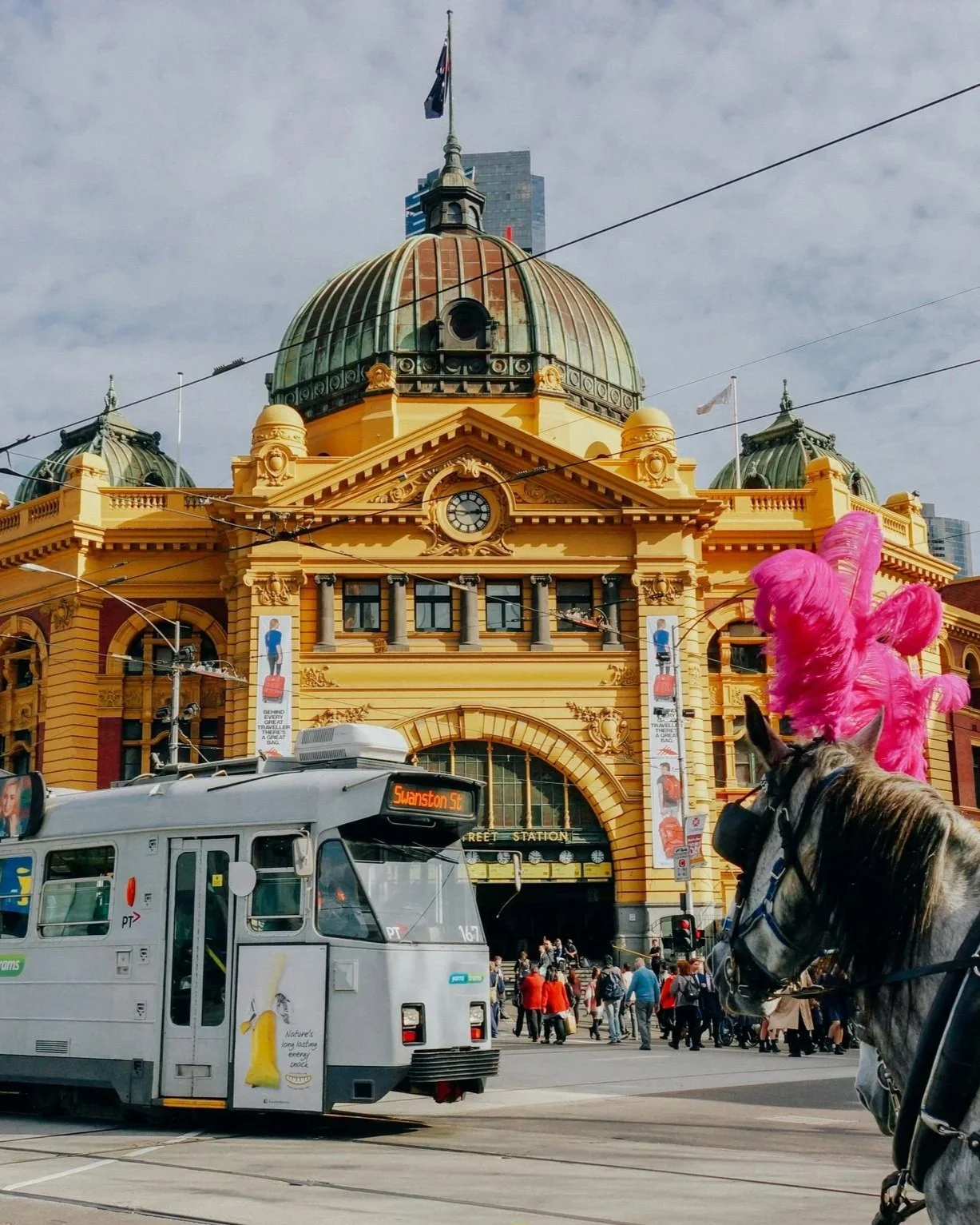 View of Flinders Street Station in Melbourne, Australia, with streetcars, pedestrians, and a horse with pink feather decorations