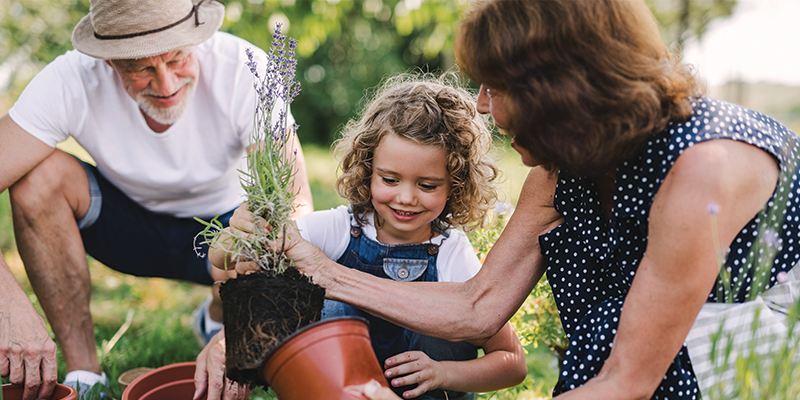 couple gardening with granddaughter