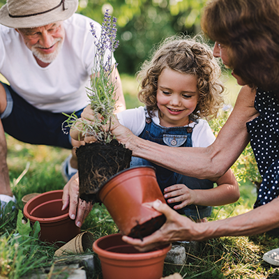 The Benefits of Gardening for Mental Health