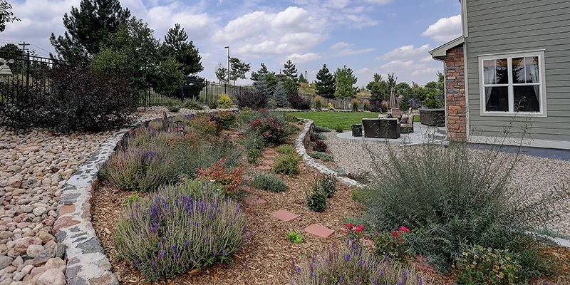 Colorado Gardening: Strategies for a Dry Summer