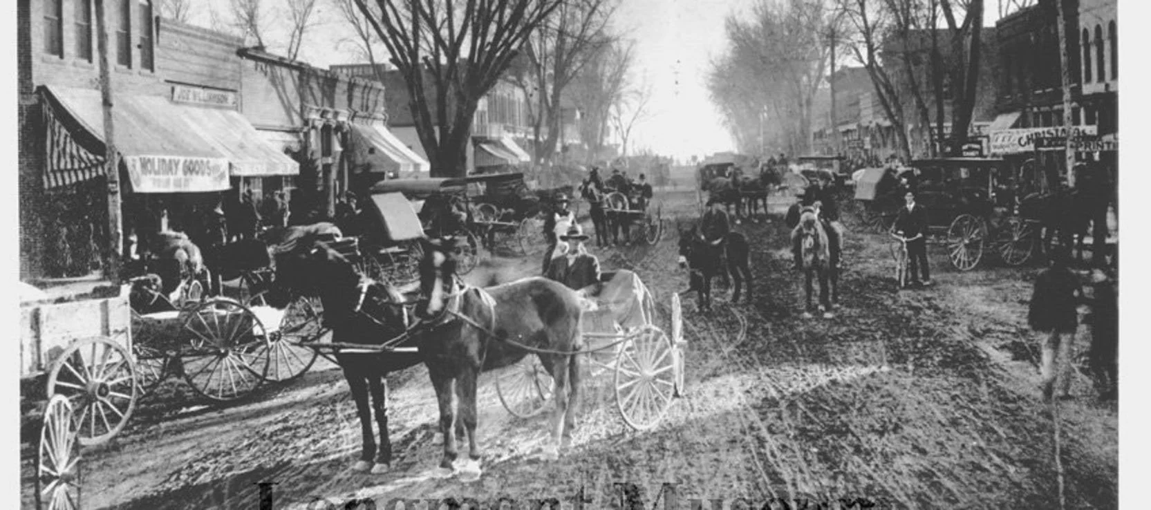 The Roots of Longmont