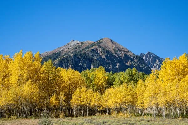Fall Color Day Trips