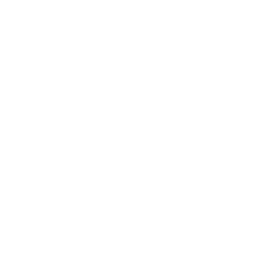 Icon of a web browser window with a globe symbol indicating internet or online connectivity.