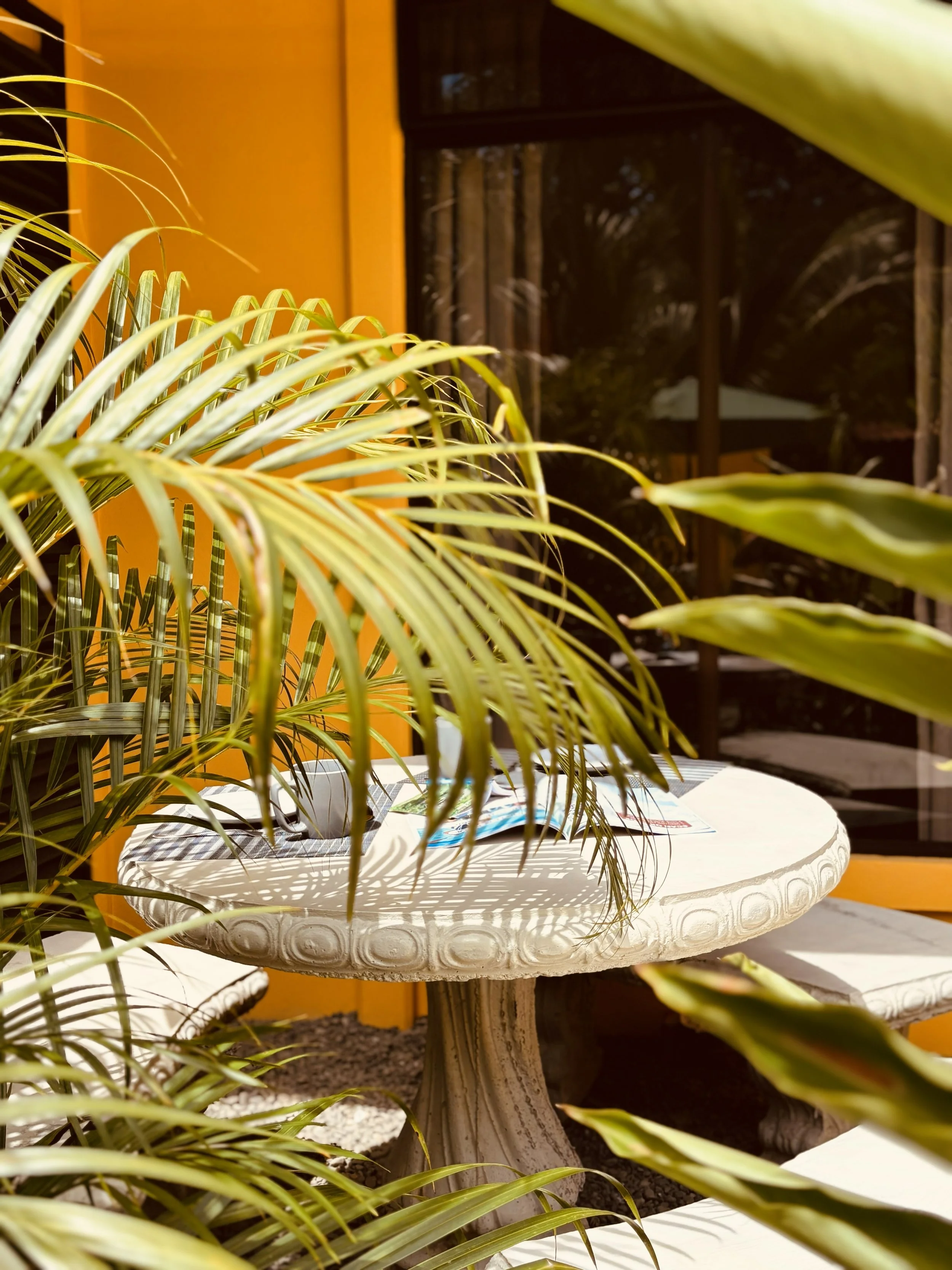 A circular white stone table with a small bottle and some papers on it, surrounded by green palm plants, a yellow wall, and a window with dark frames in the background.