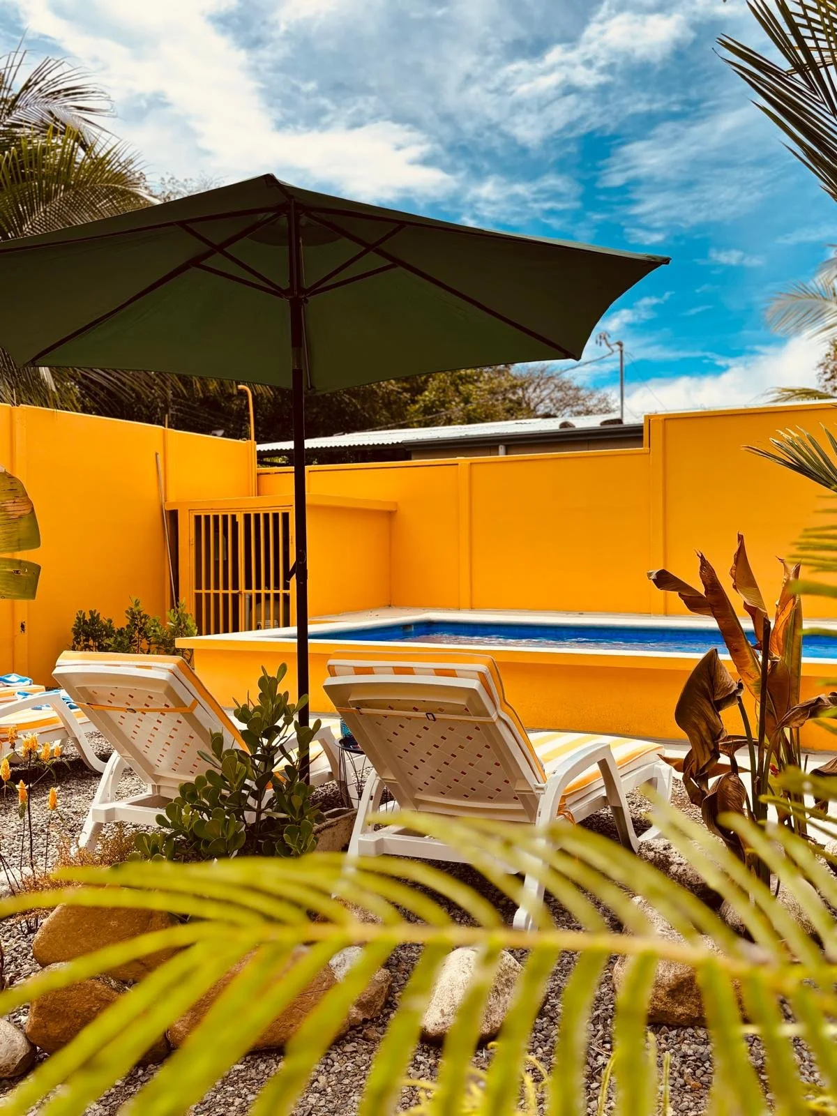 A backyard scene featuring a small swimming pool, white lounge chairs with yellow and white striped cushions, a large green umbrella, and lush plants against a bright yellow wall under a partly cloudy sky.