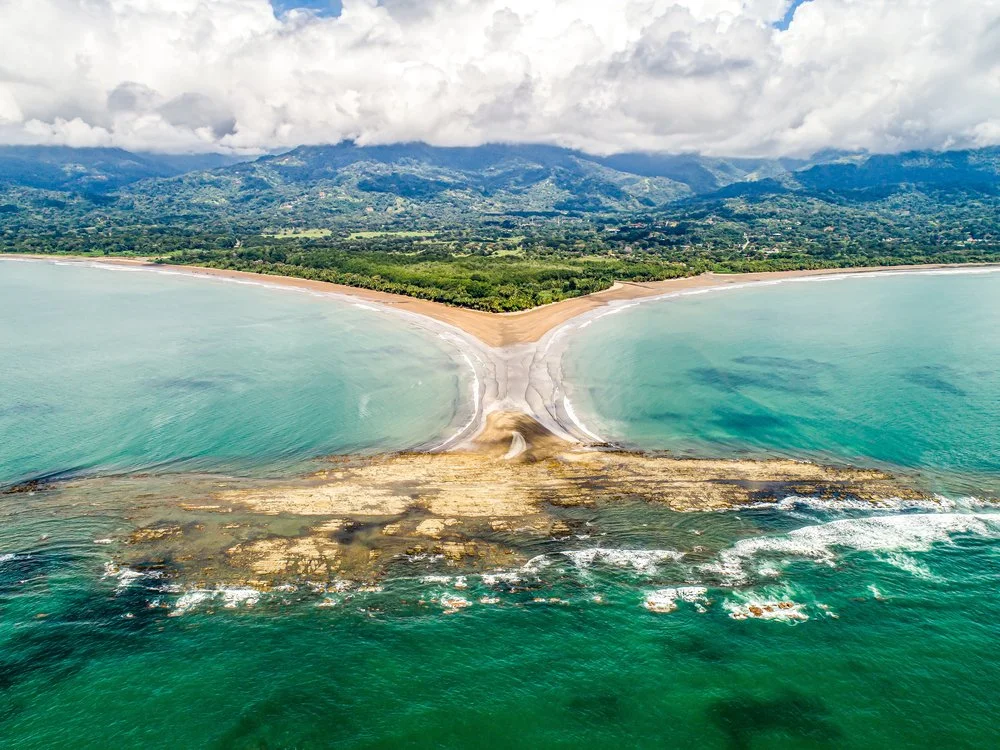 Marino Ballena National Park: A Host's Complete Guide