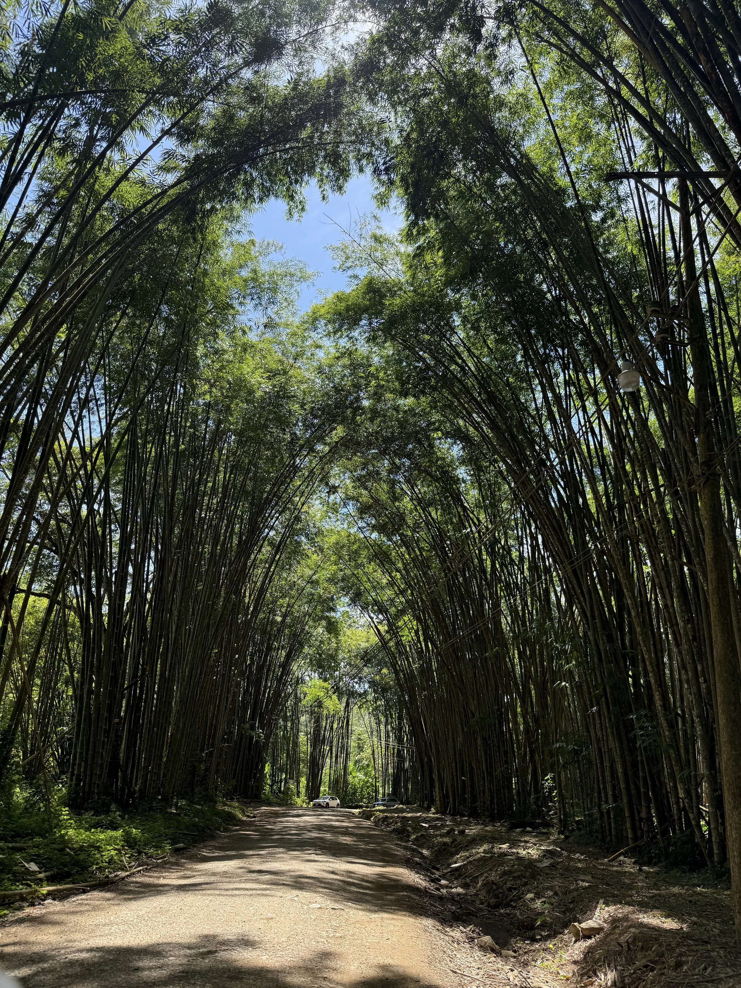 5 Reasons to Add Uvita to Your Costa Rica Road Trip‍  ‍