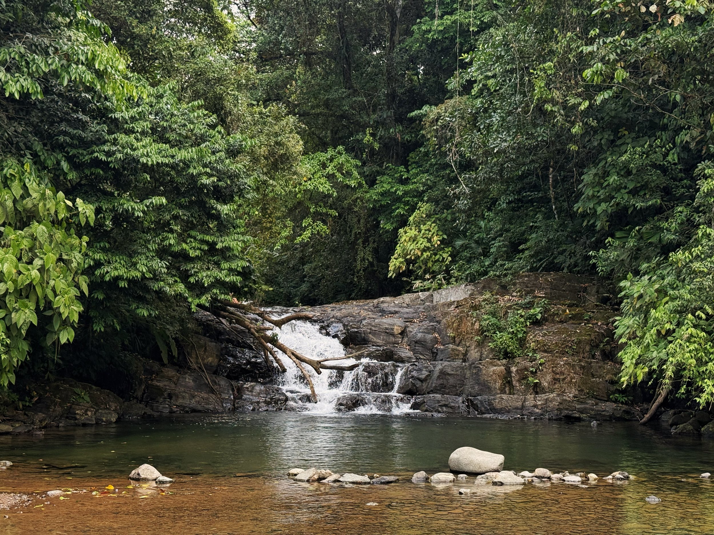 Best Waterfalls Near Uvita: A Host's Insider Guide