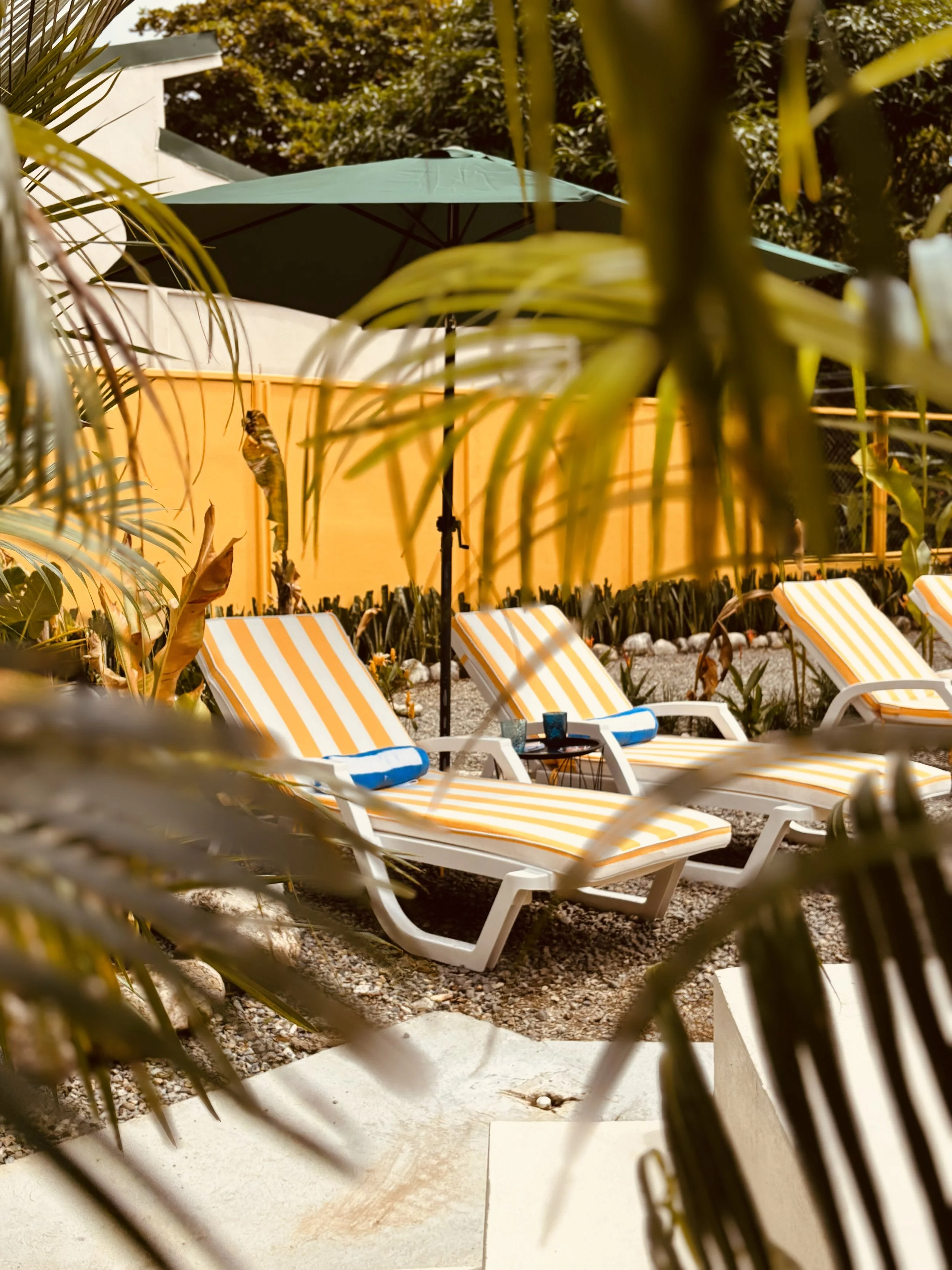 Multiple yellow and white striped lounge chairs with pillows, positioned outdoors on a gravel surface, surrounded by plants and partially shaded by a large green umbrella.