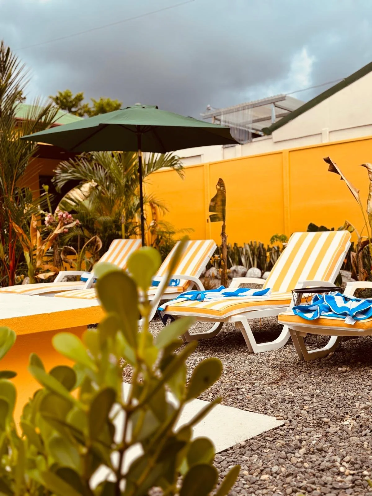 A backyard scene with three yellow-striped lounge chairs, a green umbrella, plants, and a yellow fence under a cloudy sky.