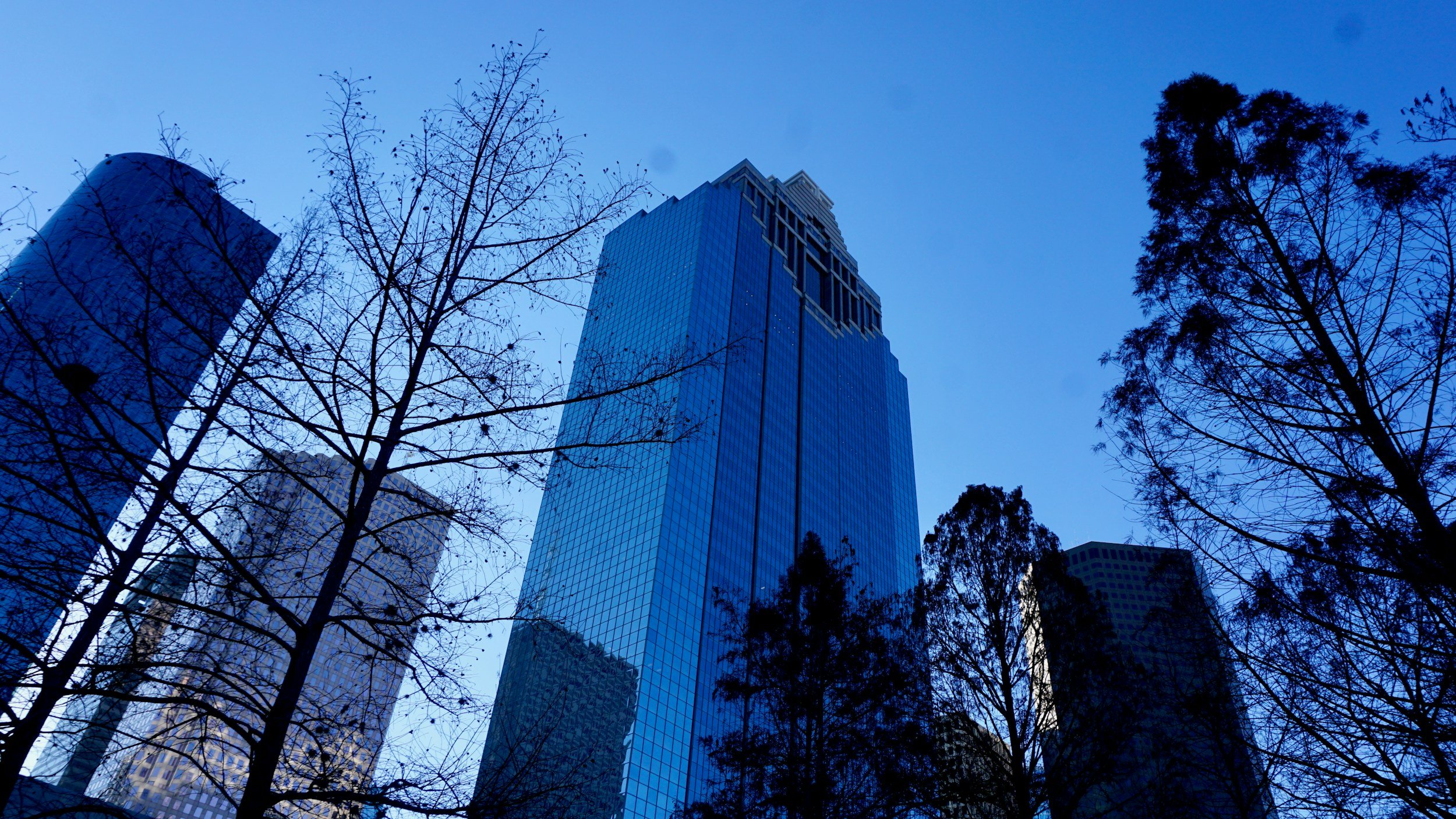 A cityscape view of tall glass buildings with bare trees in the foreground and a blue sky.