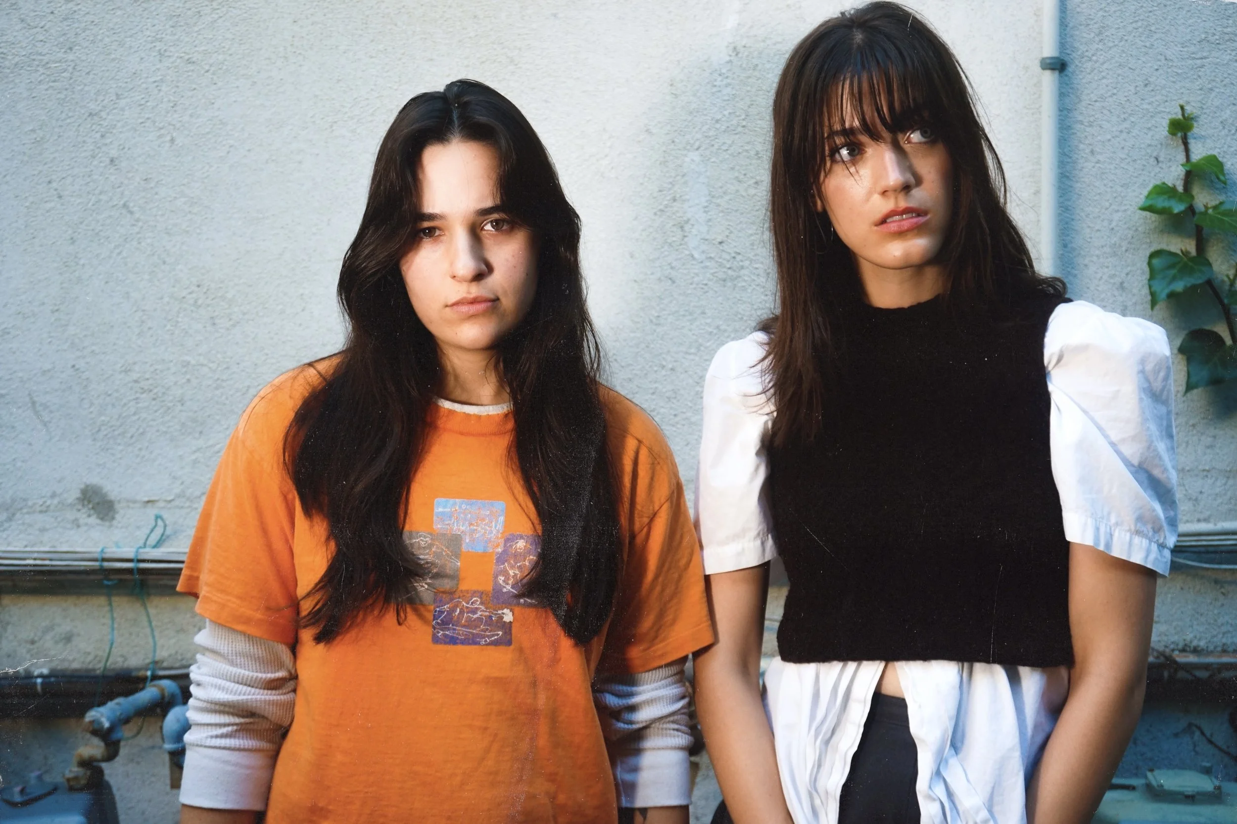 silverdeer texture 3.jpg