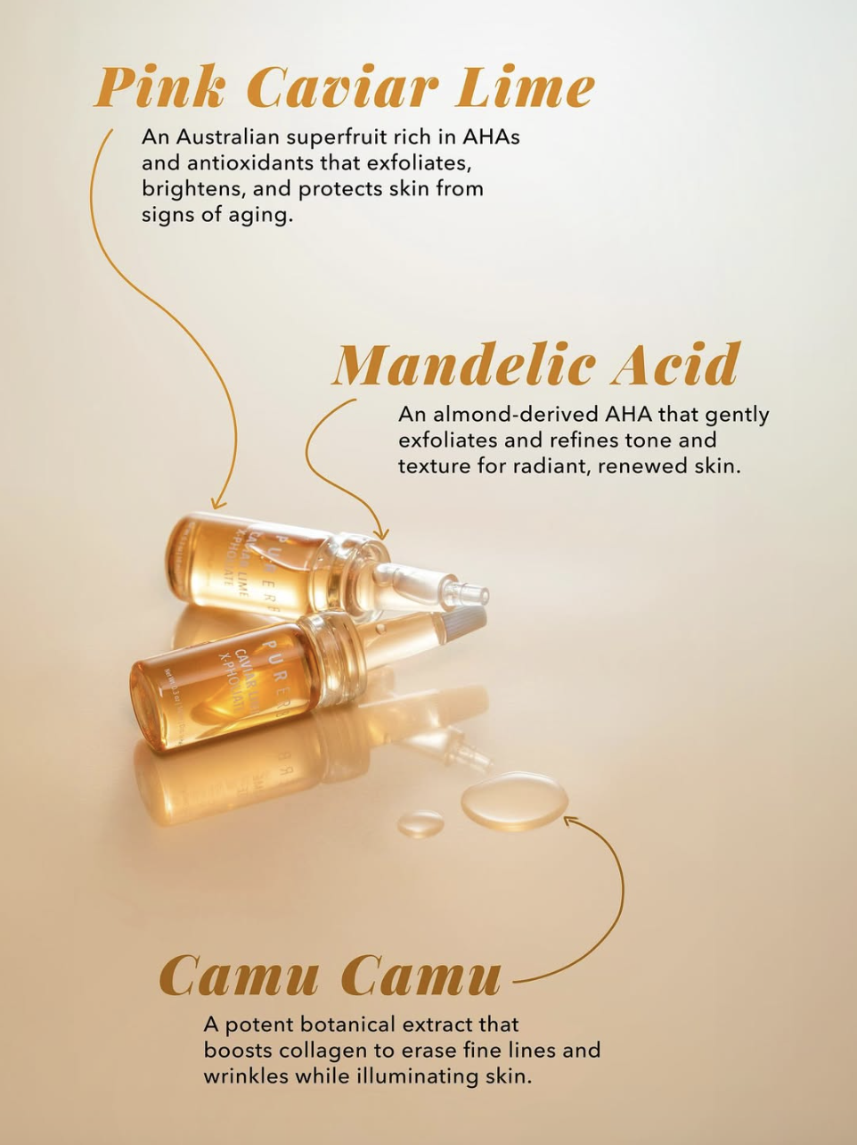 Screenshot 2026-02-21 at 4.50.51 PM.png