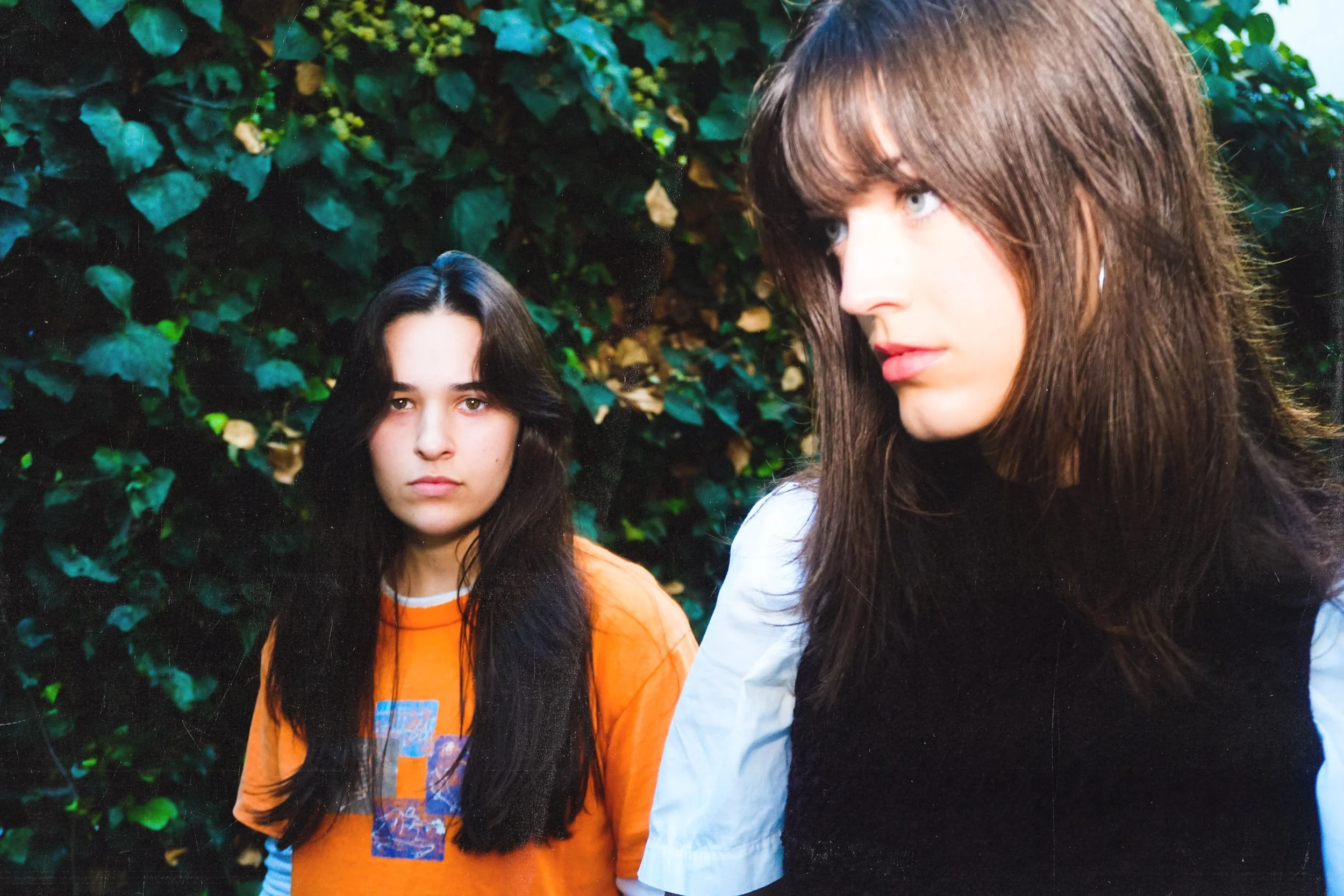 silverdeer texture 4.JPEG