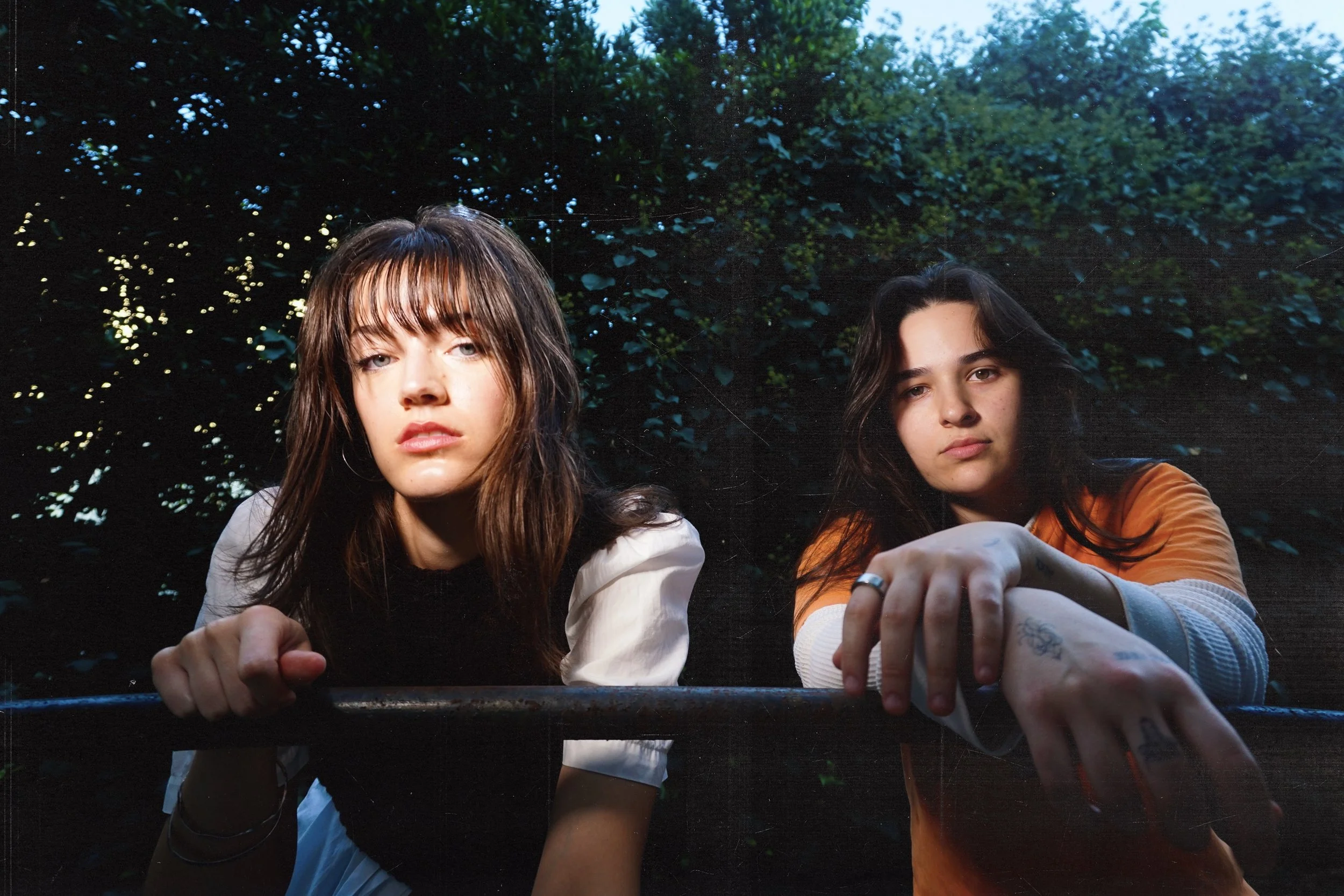 silverdeer 11_02 texture_.jpg