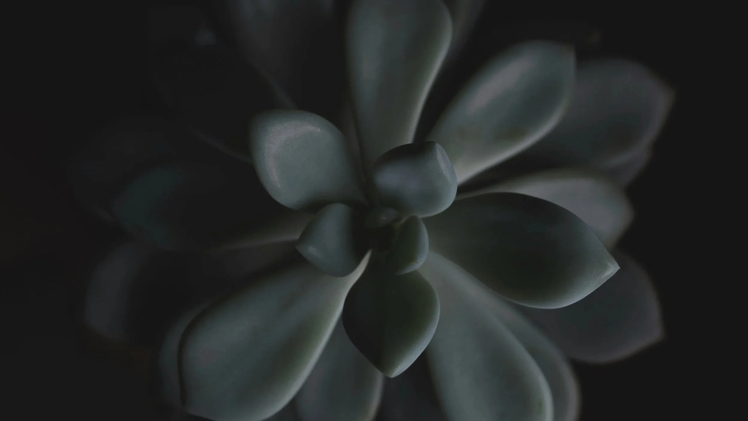 Detailed Review - Build