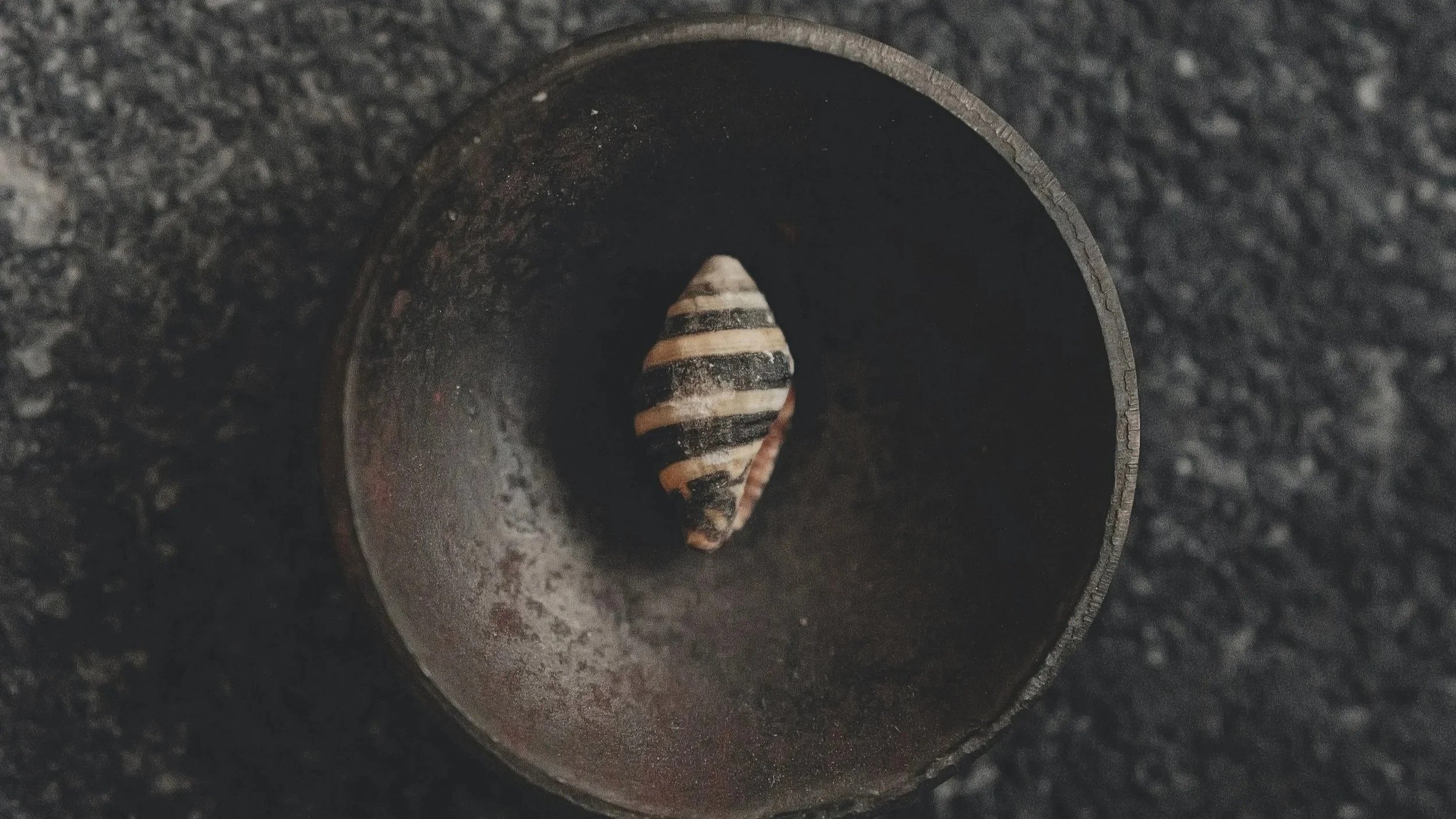 Essential Review - Build