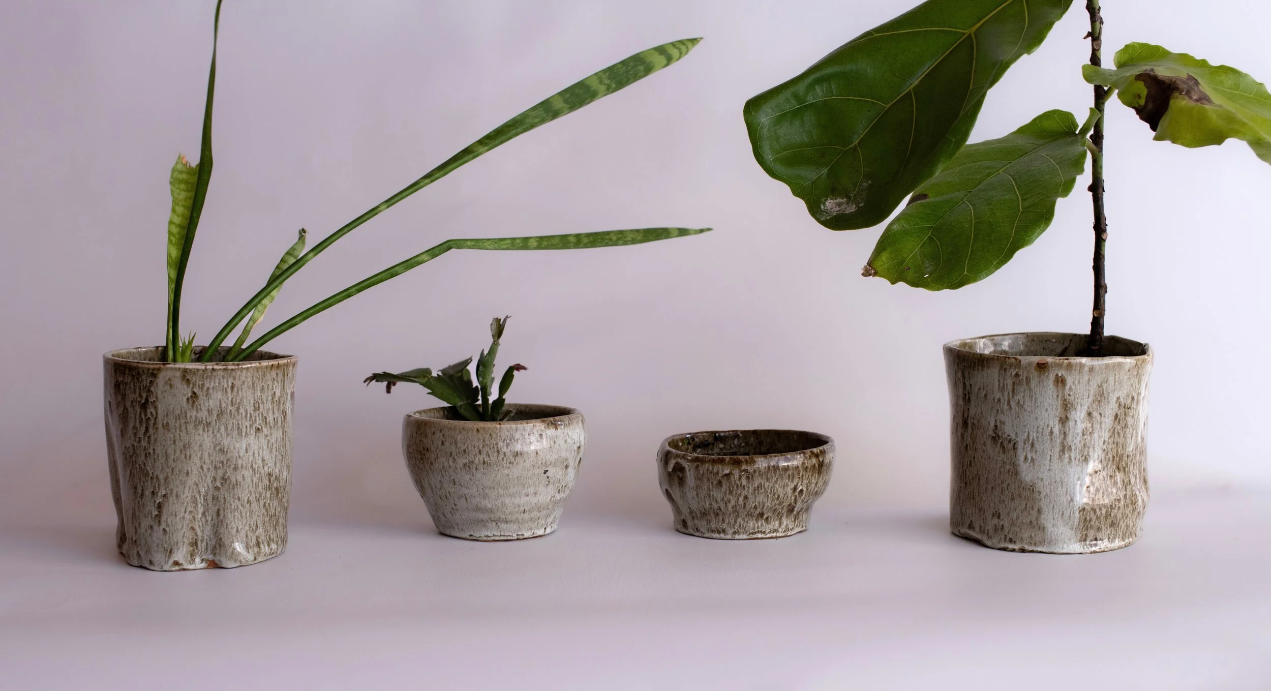 Quiet Accommodations