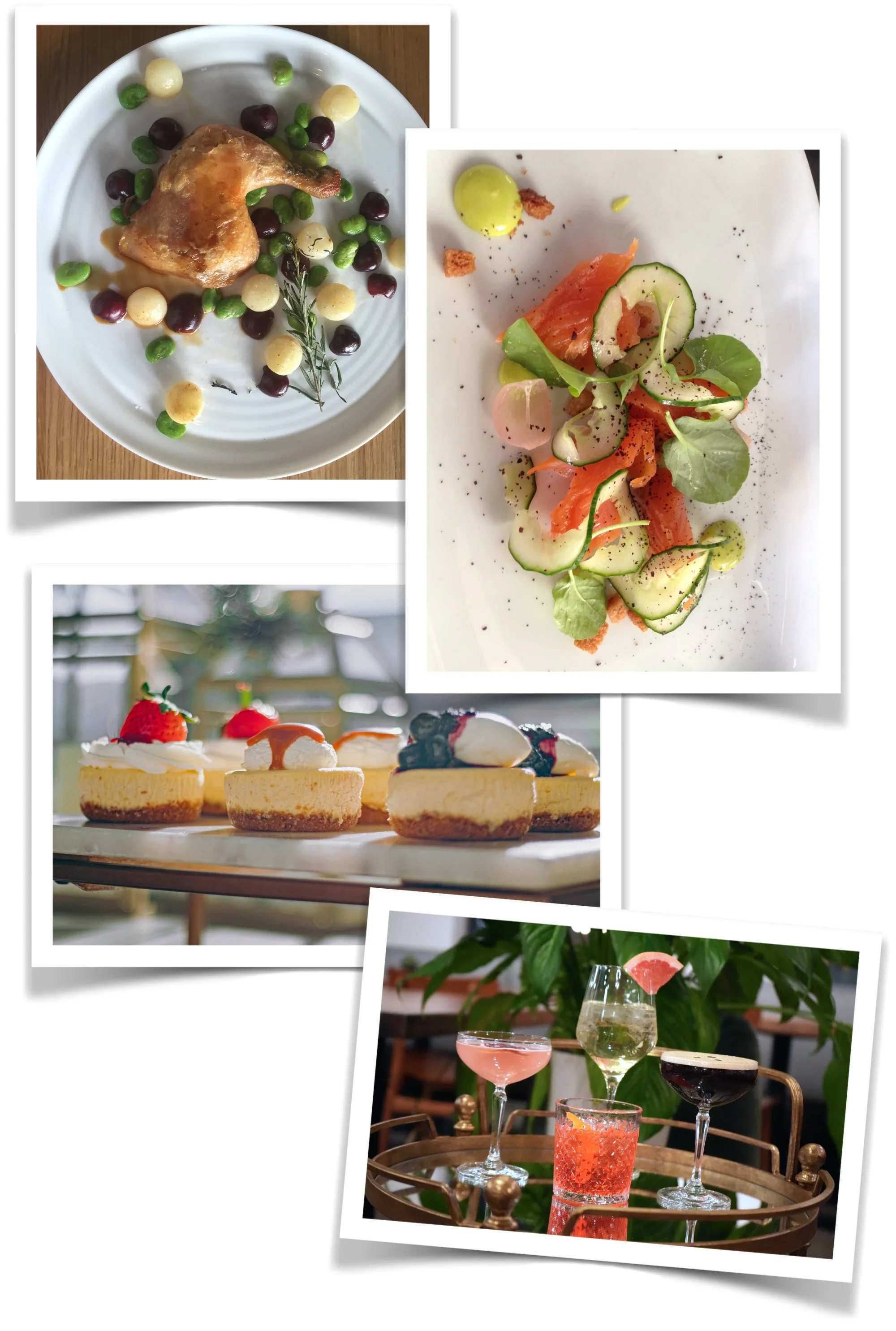 top down confit chicken leg, top down Icelandic arctic char  salmon, close up of cheesecake, and beautiful image of two mixed drinks, and espresso martini and a glass of wine on a brass and mirror bar cart