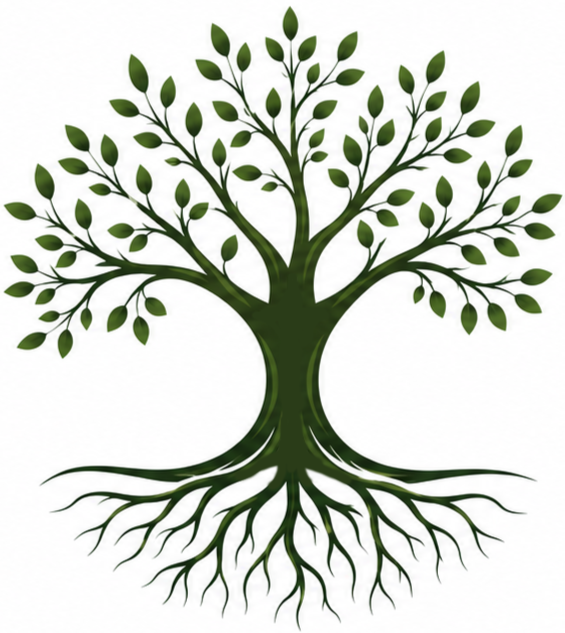 A graphic illustration of a green tree with leafy branches, a sturdy trunk, and roots visible underground.