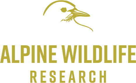 ALPINE WILDLIFE RESEARCH