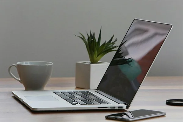 Laptop, coffee mug, and potted plant on a wooden desk.