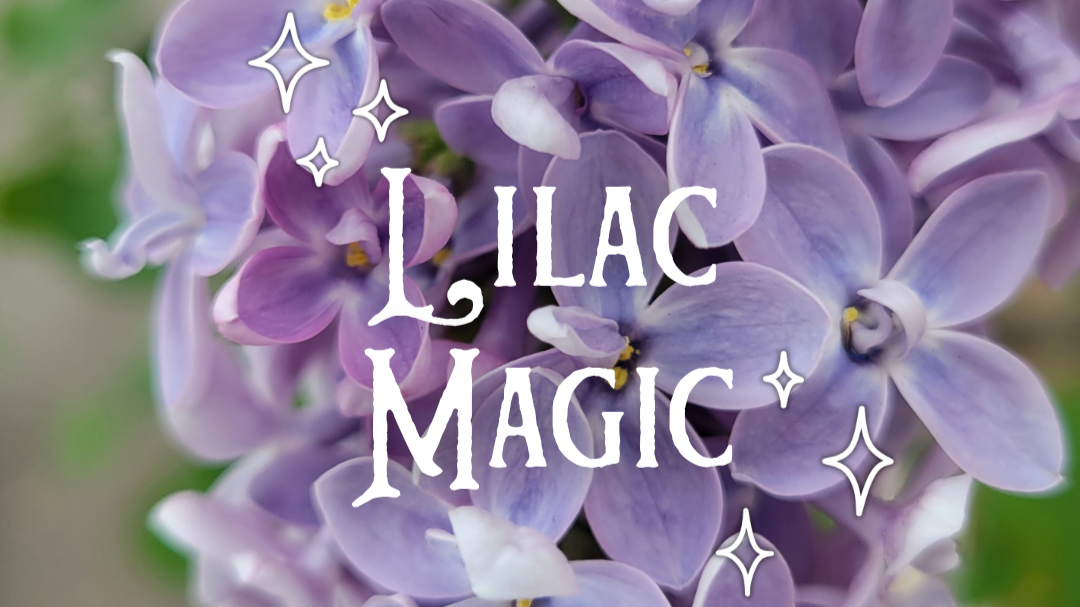 Lilac Magic: Folklore, Spellwork &amp; Recipes for Savoring Spring