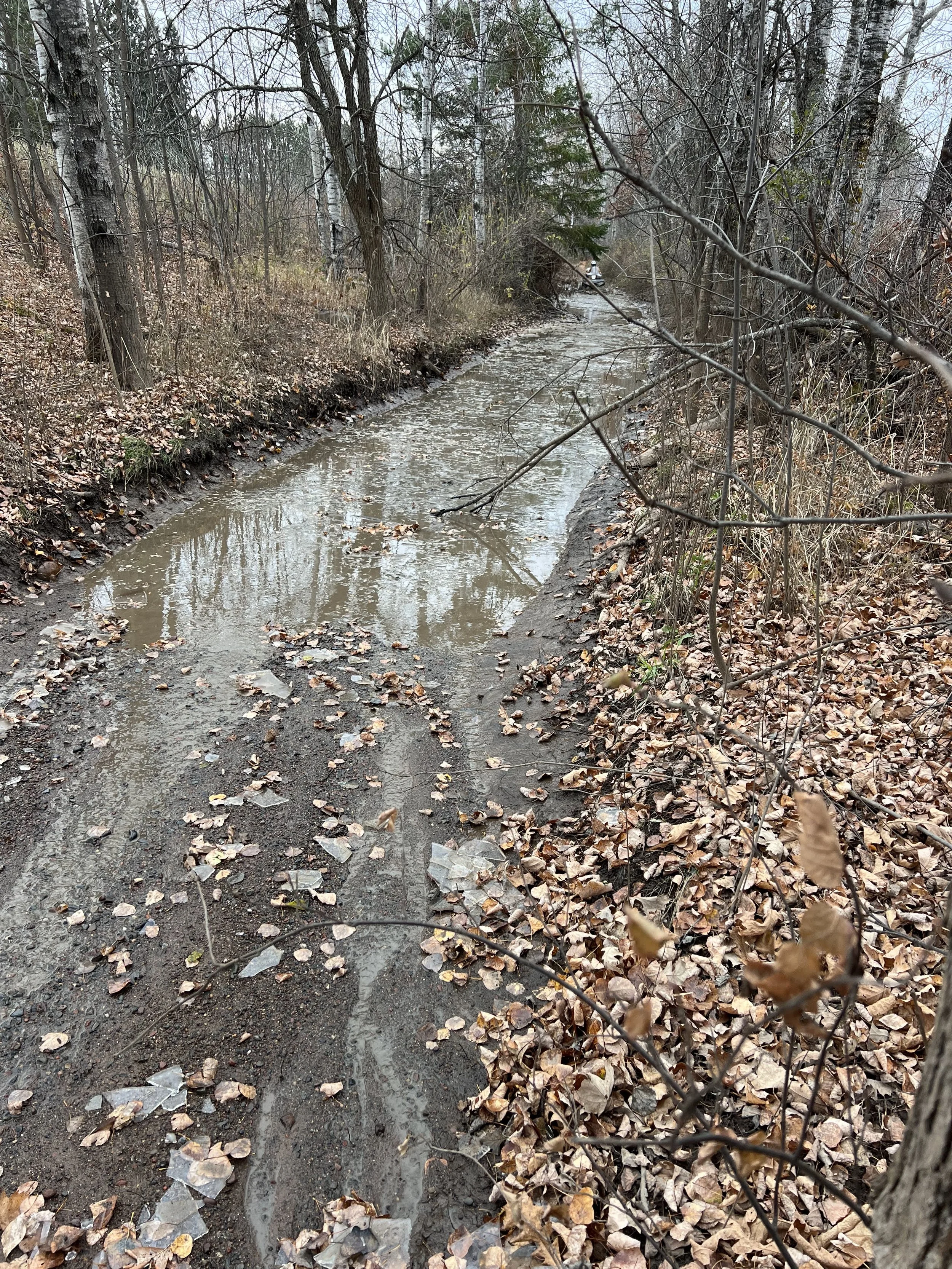 A muddy, leaf-covered trail beside a small stream in a forest during late fall or early winter, with bare trees and brown leaves on the ground.