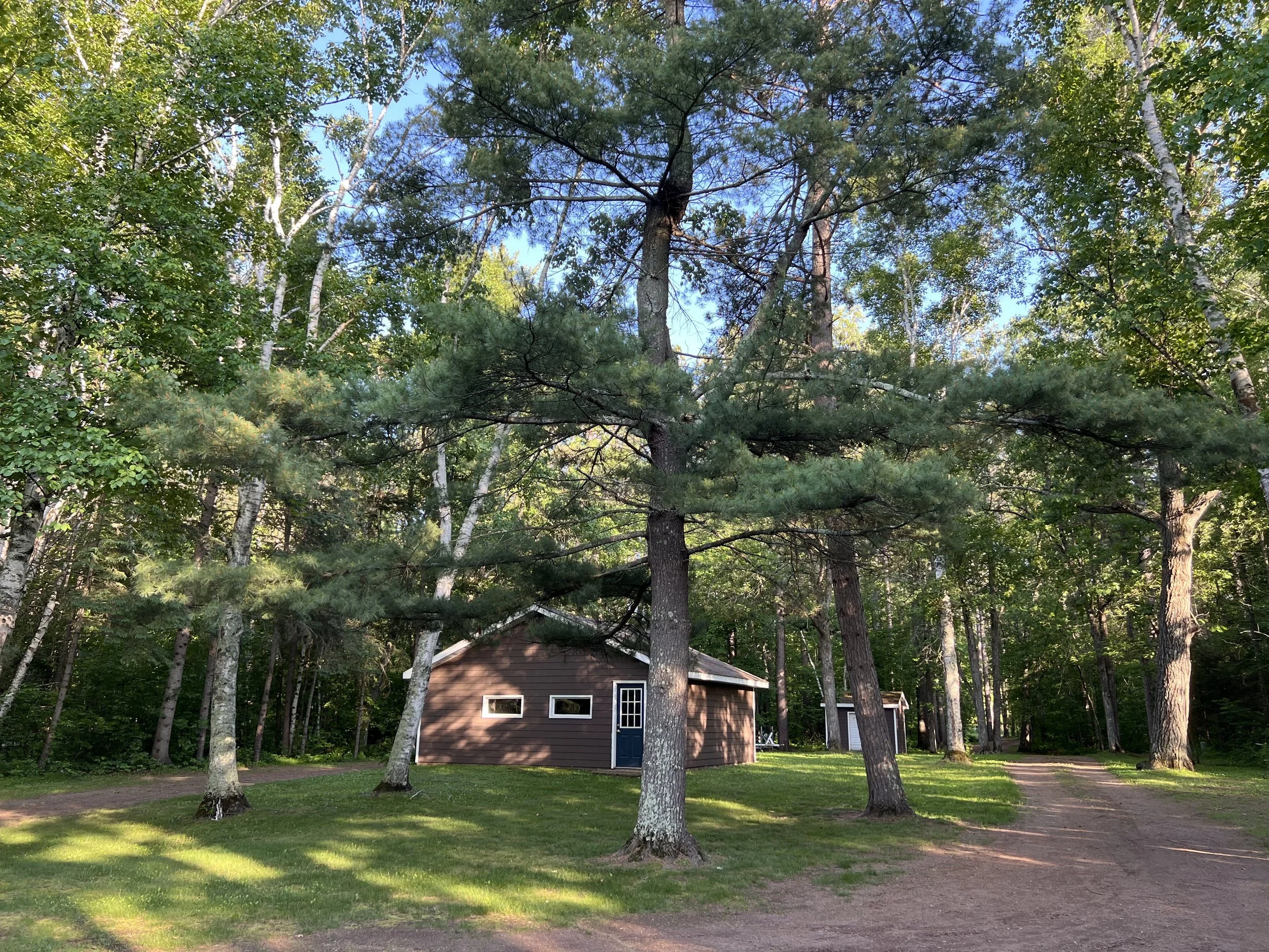 A small brown shed with a blue door surrounded by green trees and grass, with a dirt path nearby, in a wooded area.