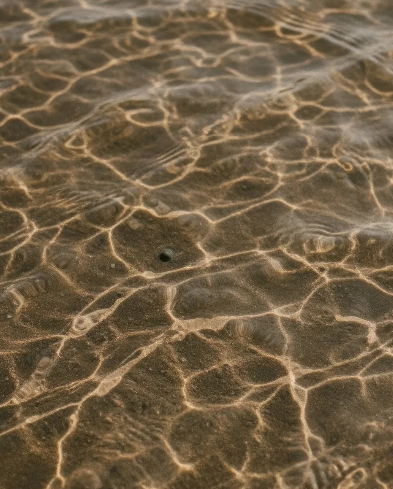 Water.png