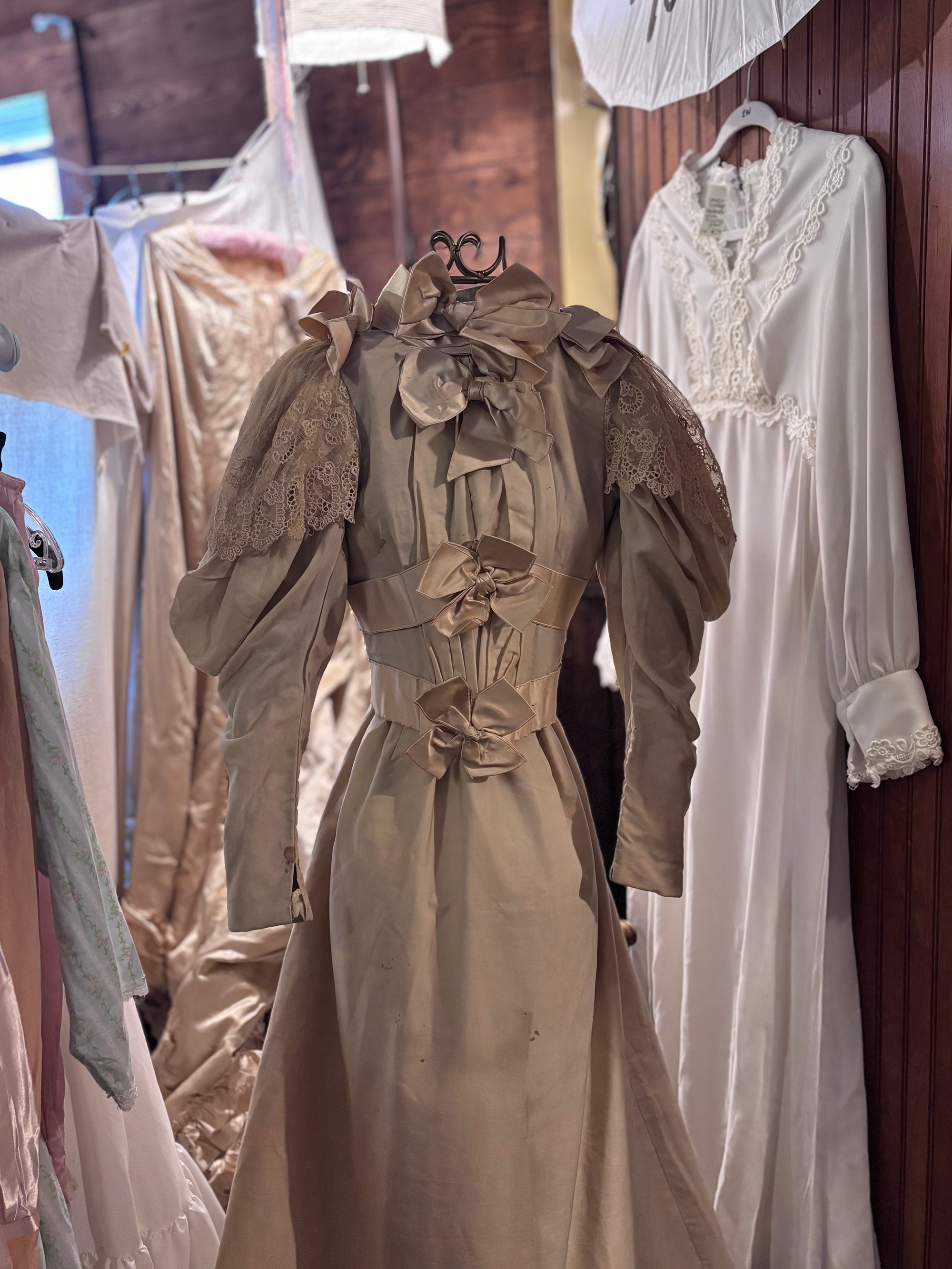 1890s wedding dress 6.png