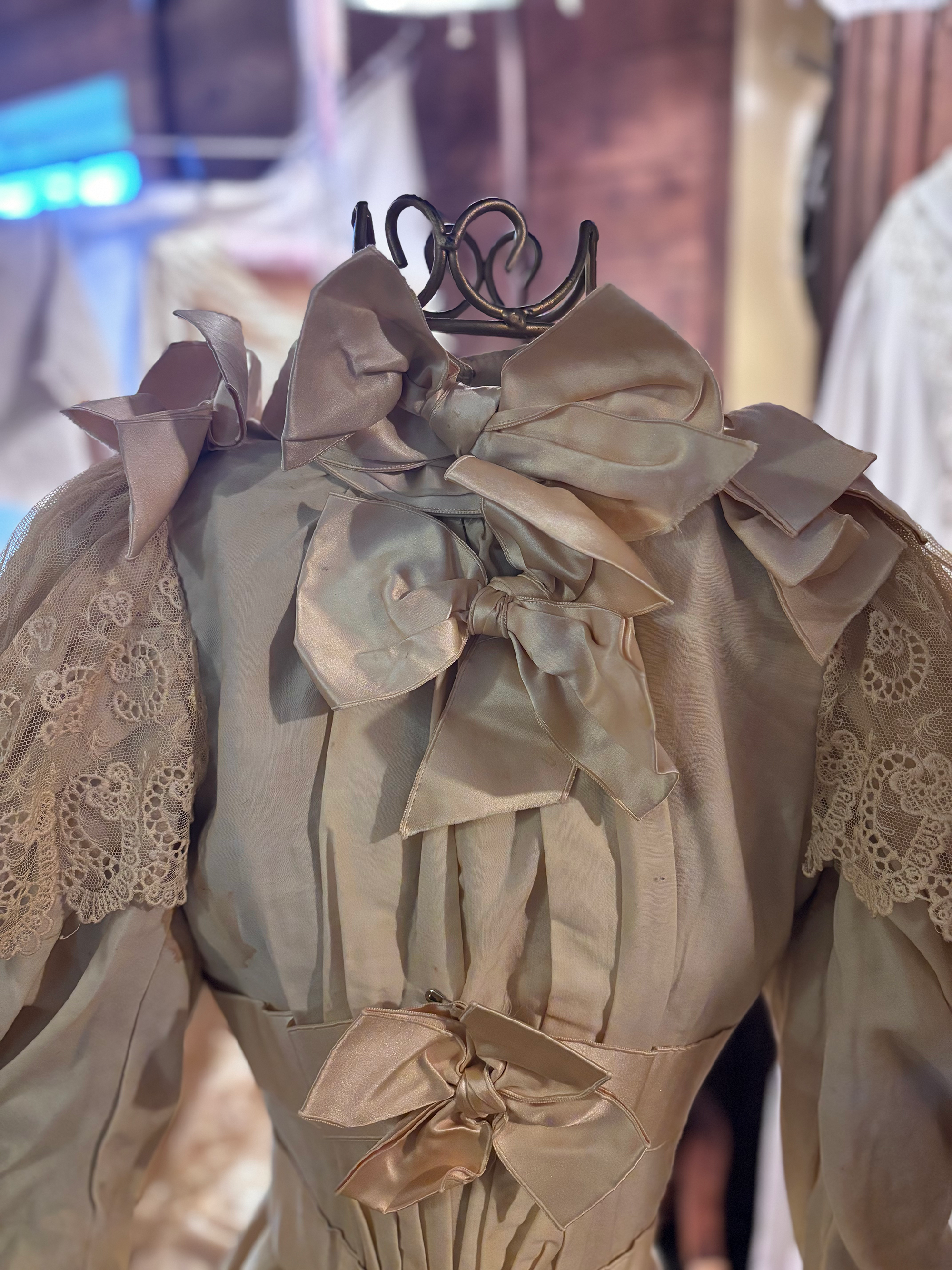 1890s wedding dress 5.png