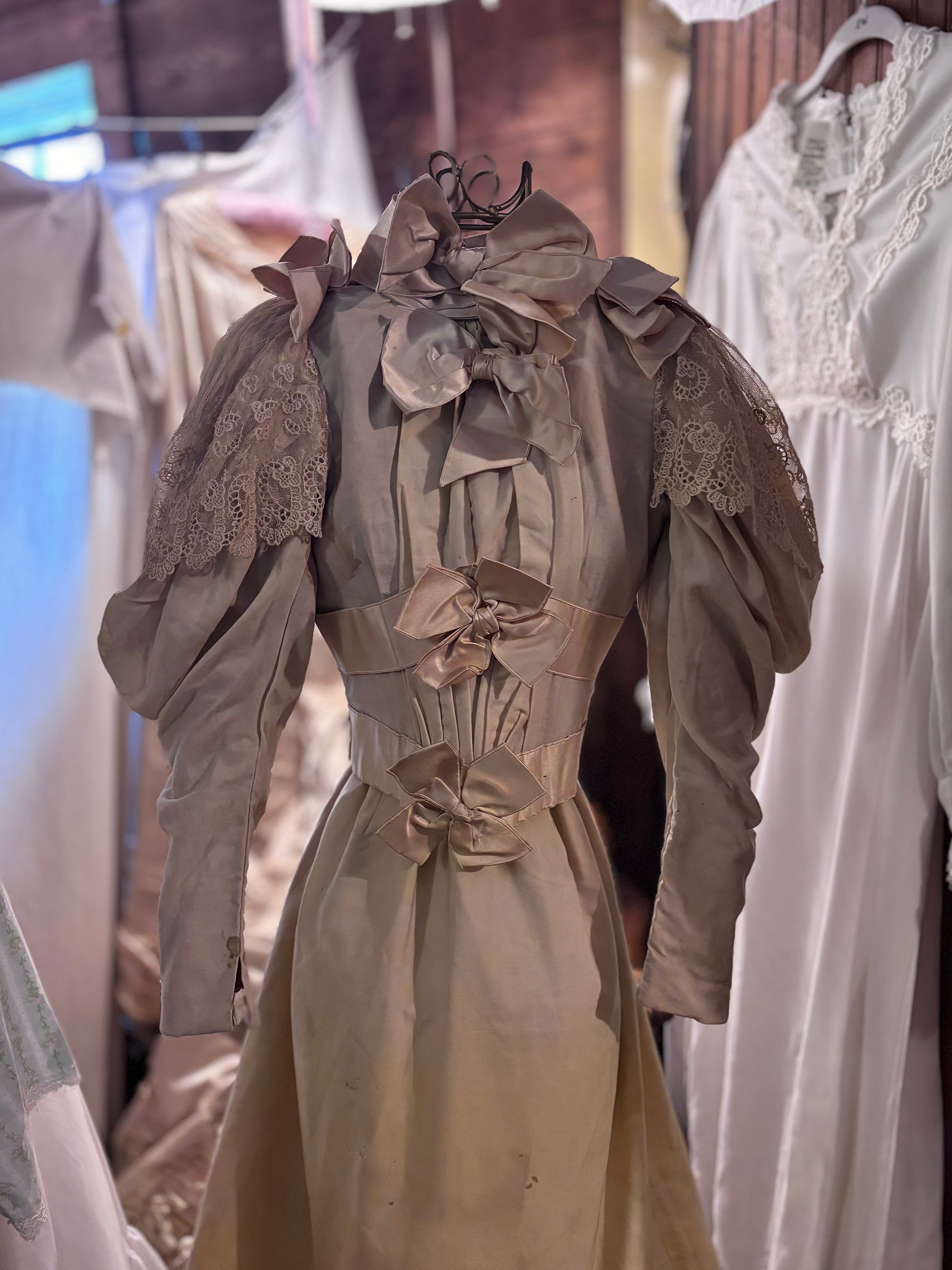 1890s wedding dress 3.png