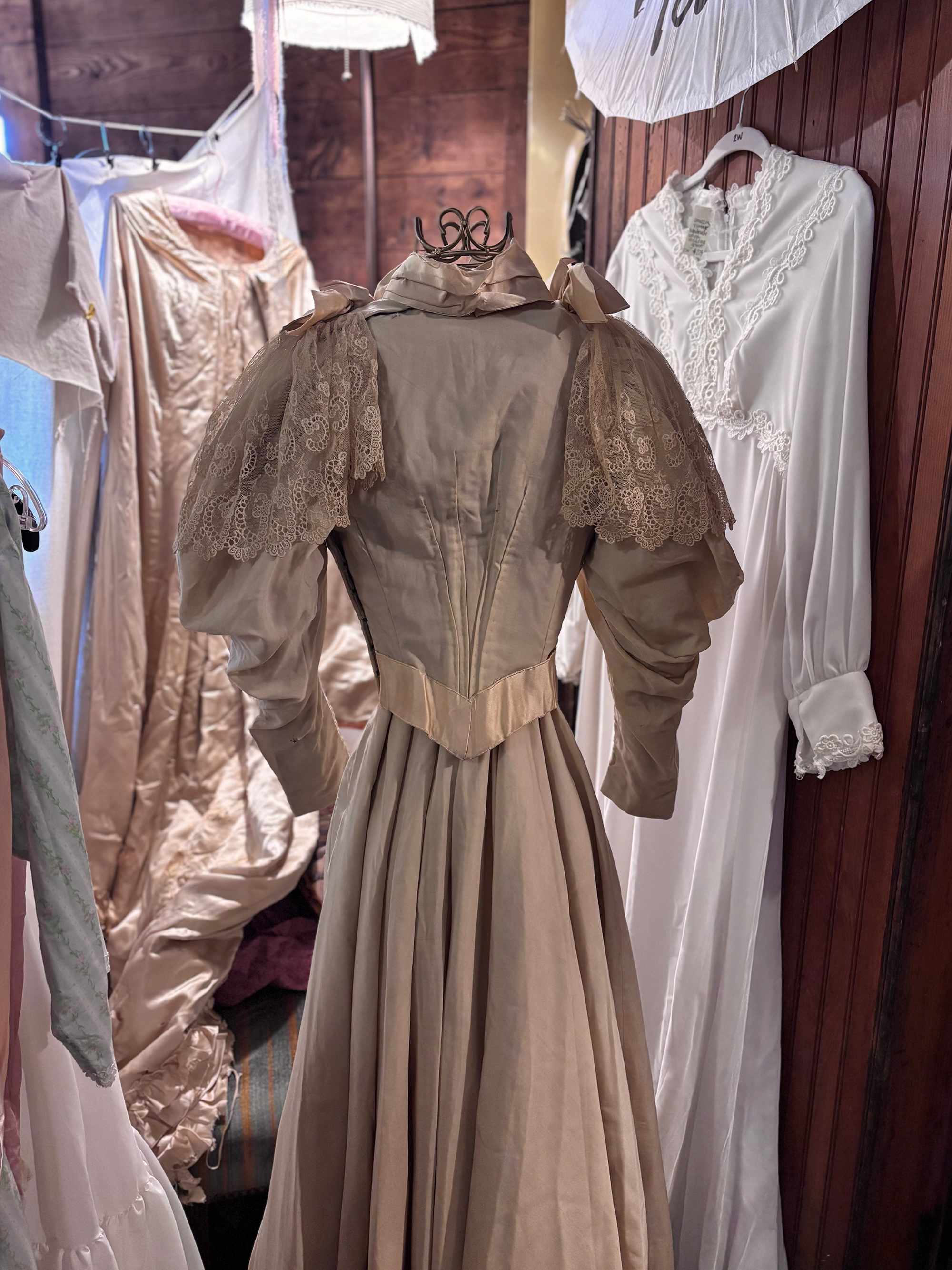 1890s wedding dress 2.png