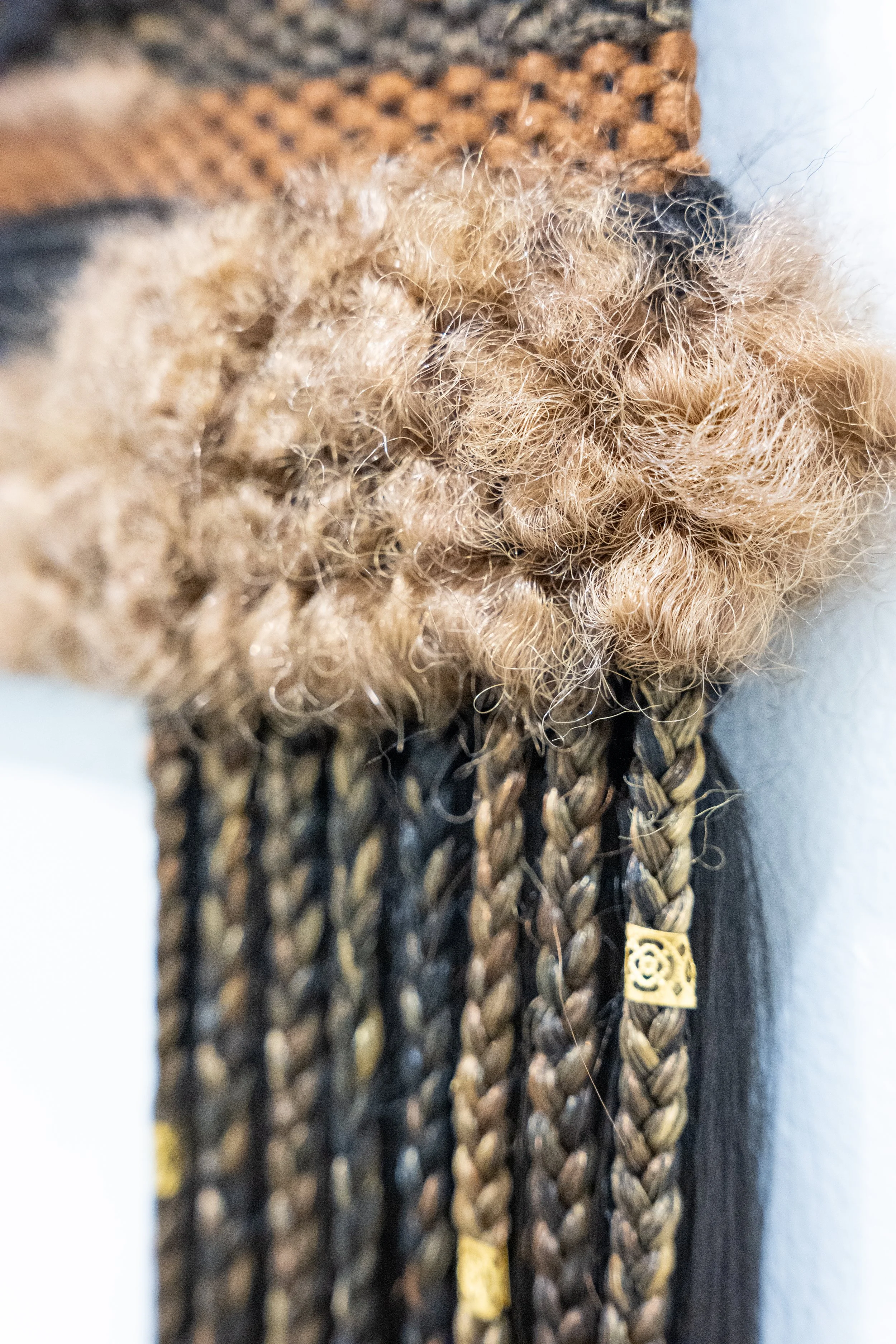 Rows of Remembrance, 2025