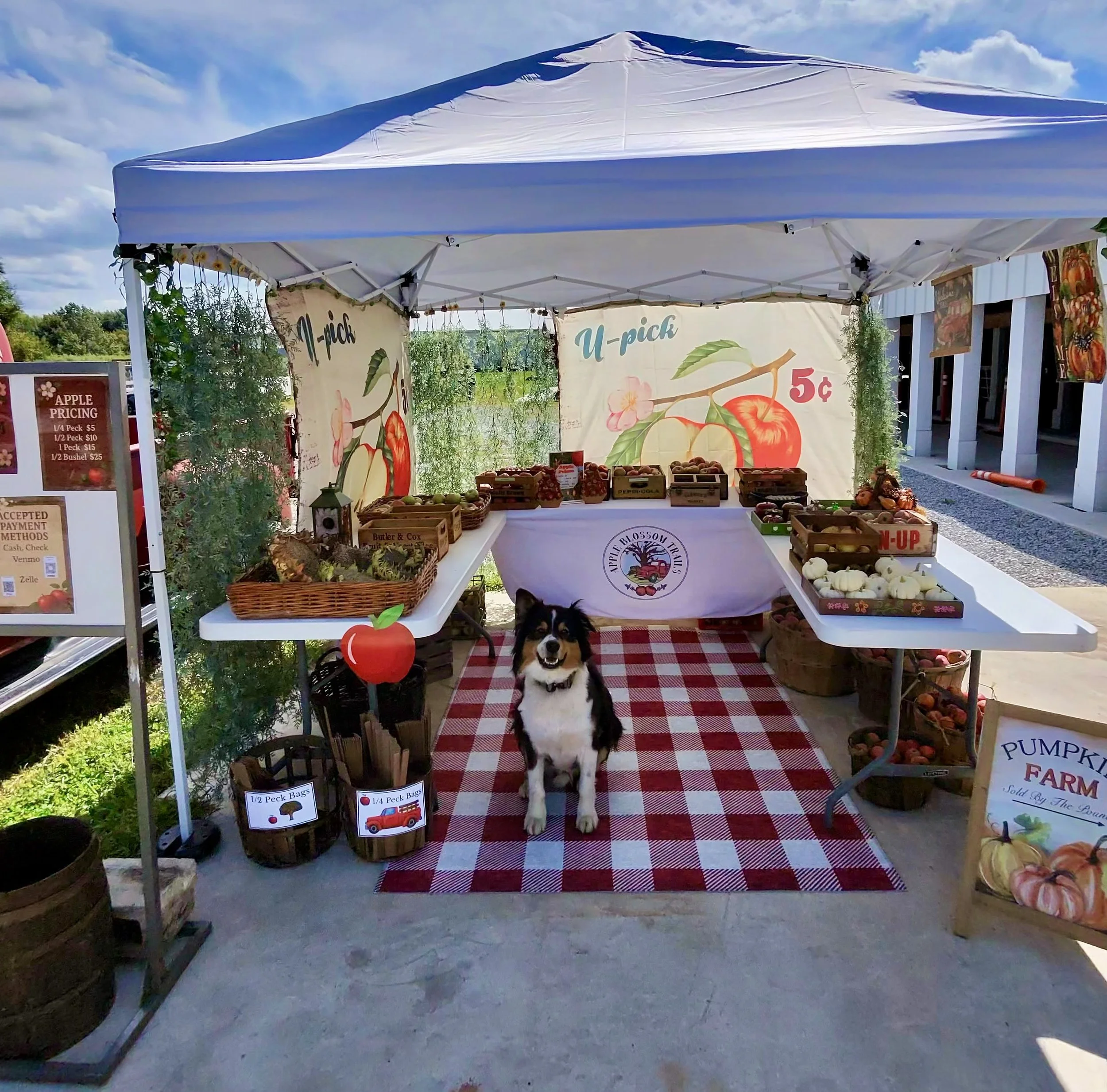 Craft &amp; Farmers Market