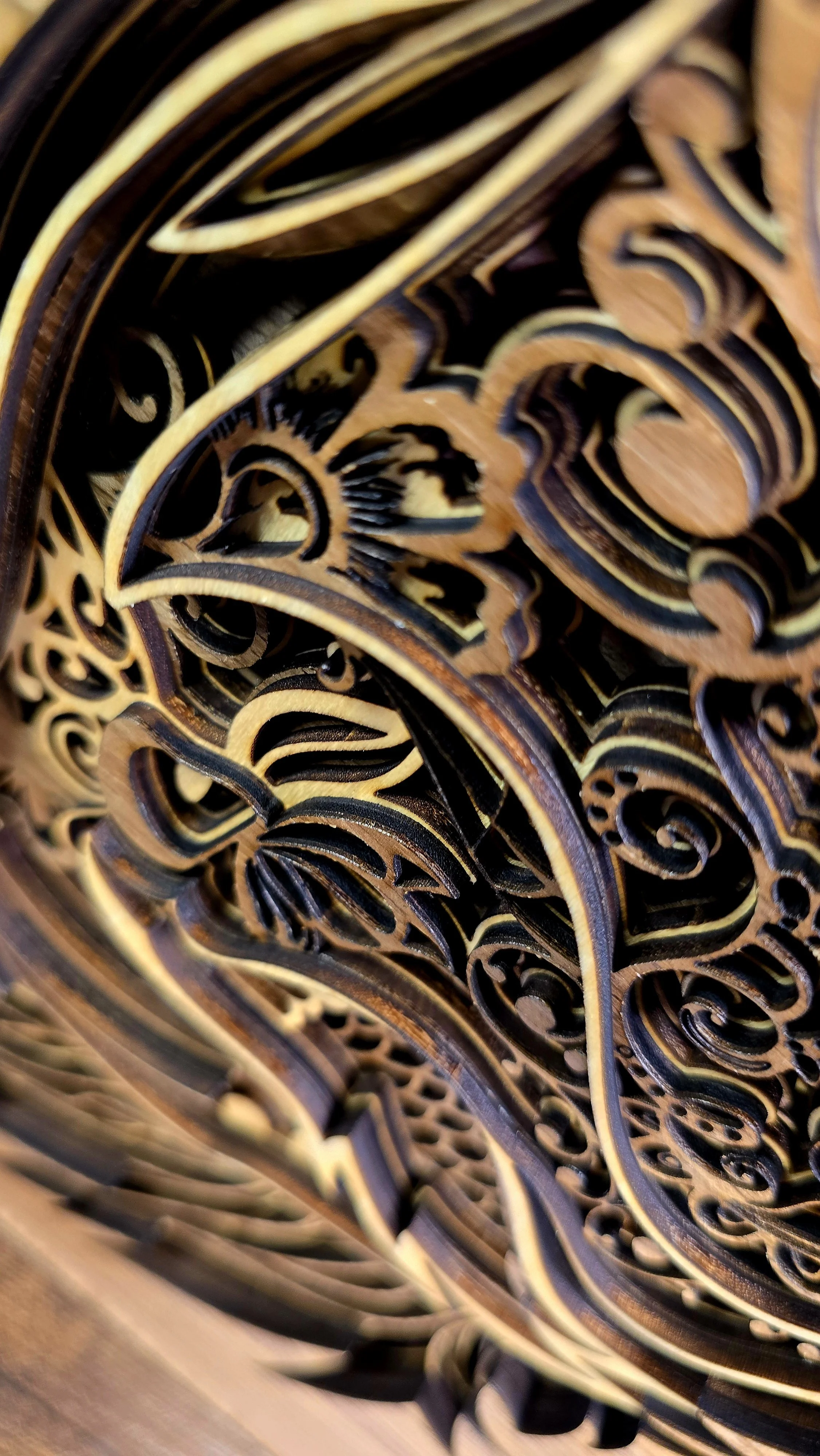 20260531_112747.jpg