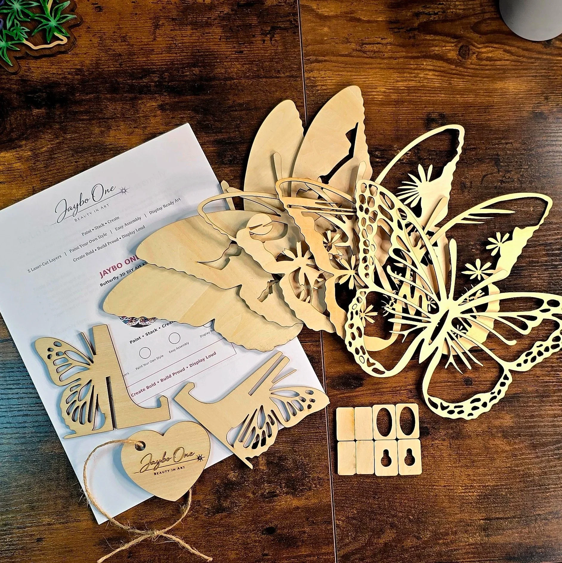 DYI Butterfly Kit
