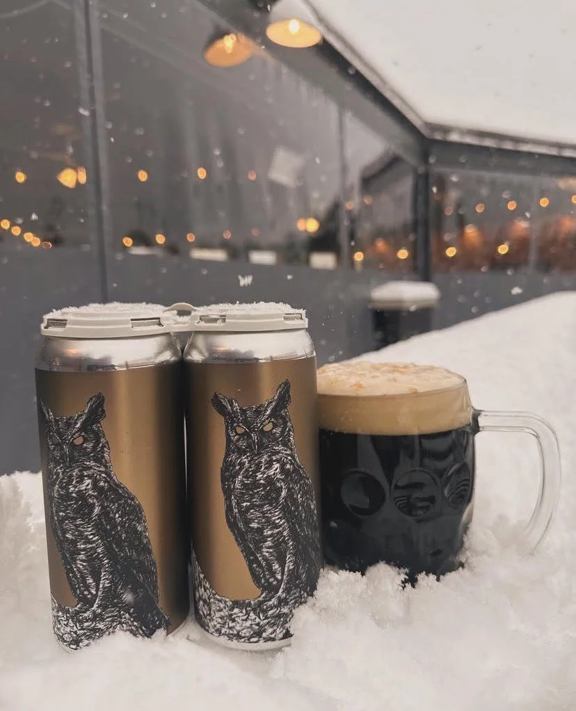 Two cans of beer with owl illustrations and a mug of dark beer on snow, with a snowy background and a building with lights reflected on wet glass.