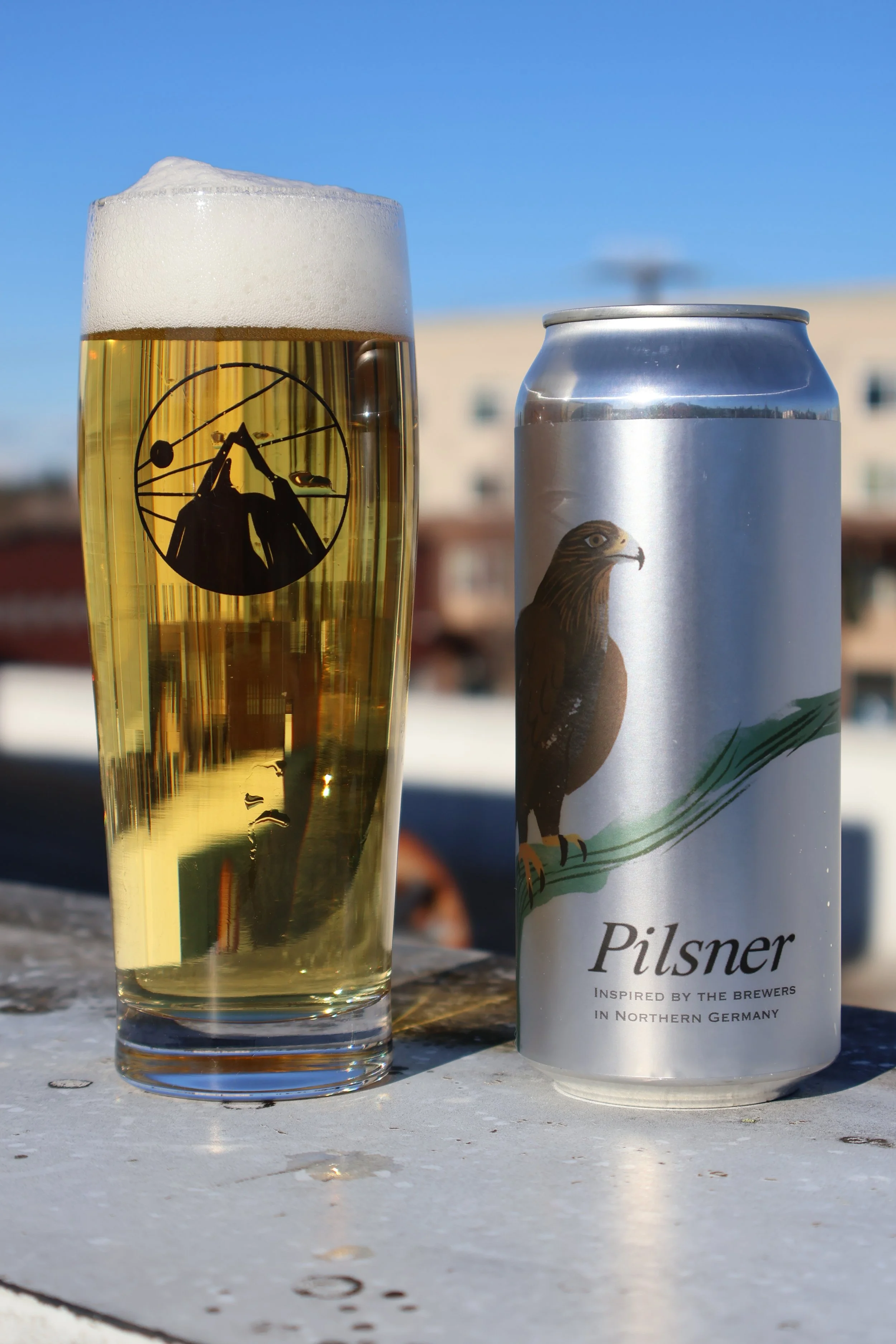 A tall glass of beer with a frothy head and a pilsner can with a hawk illustration on it, set outdoors on a ledge with blurred buildings in the background.