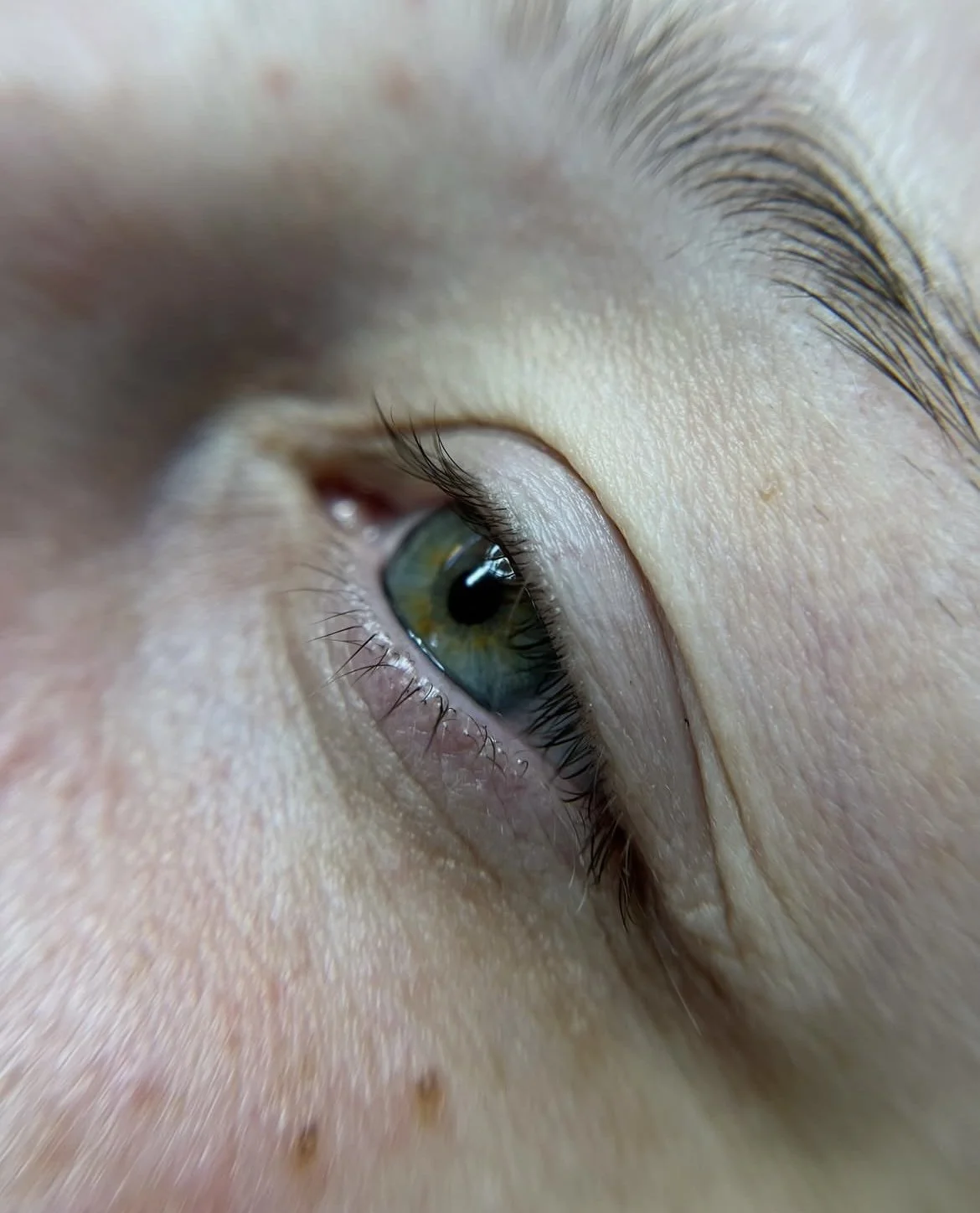 Close-up of a human eye with green and brown iris and long eyelashes.