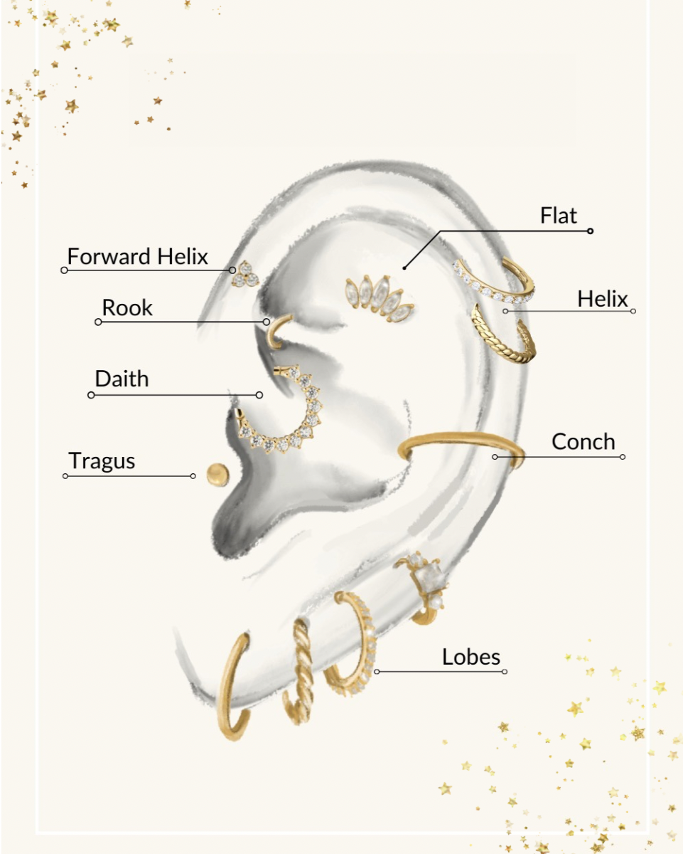 Diagram of an ear with labeled jewelry pieces and parts, including forward helix, rook, daith, tragus, flat, helix, conch, lobes, and various earrings.