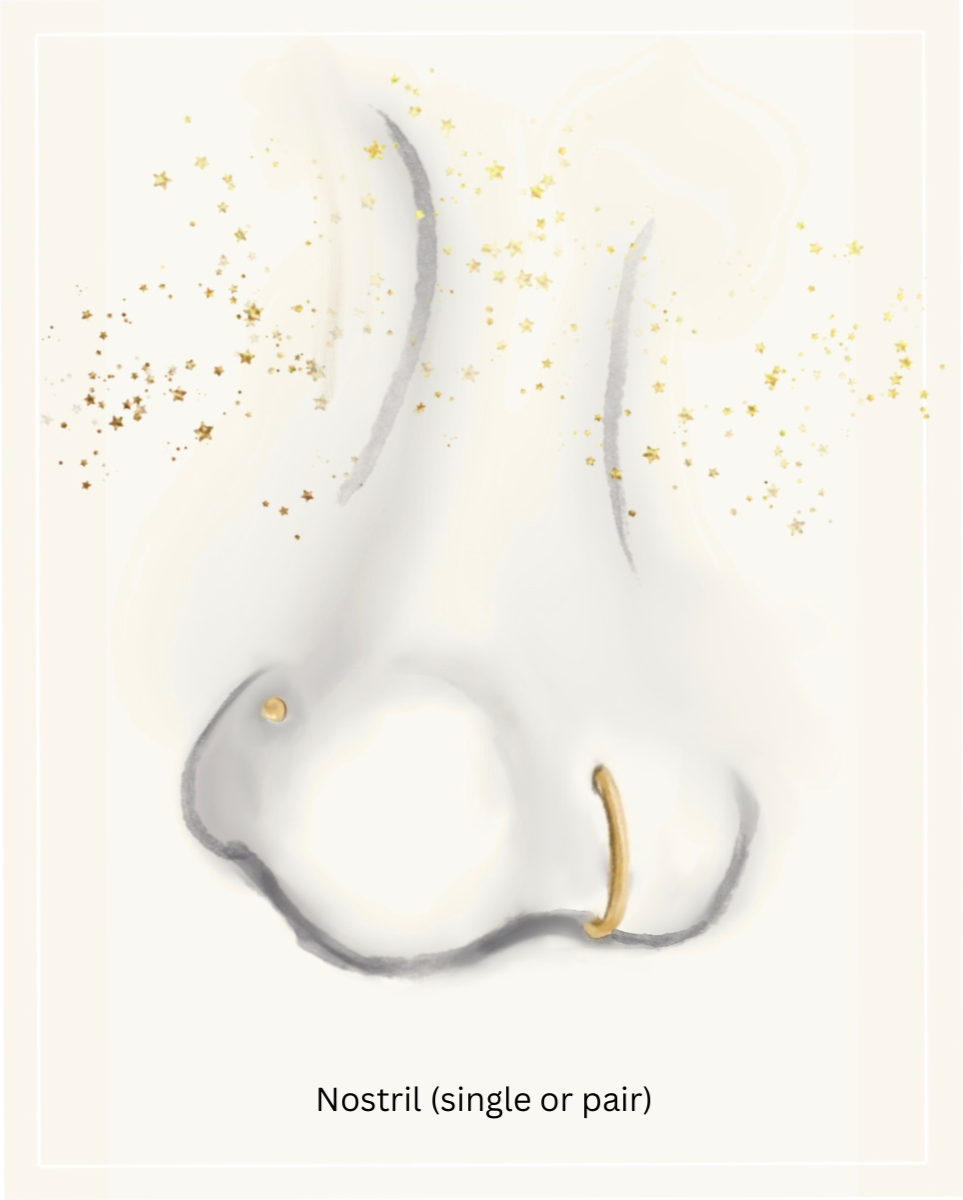 Illustration of a human nose with piercings, decorated with gold star and glitter accents, labeled 'Nostril (single or pair)'.