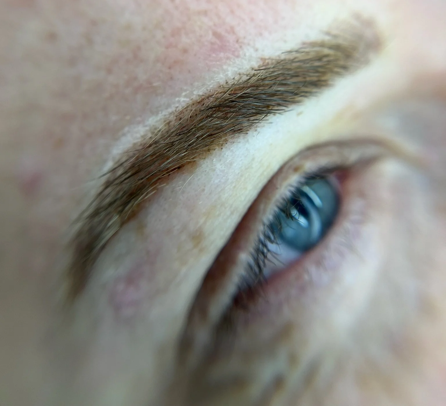 Close-up of a person's eye, showing blue iris, eyelashes, and eyebrow.